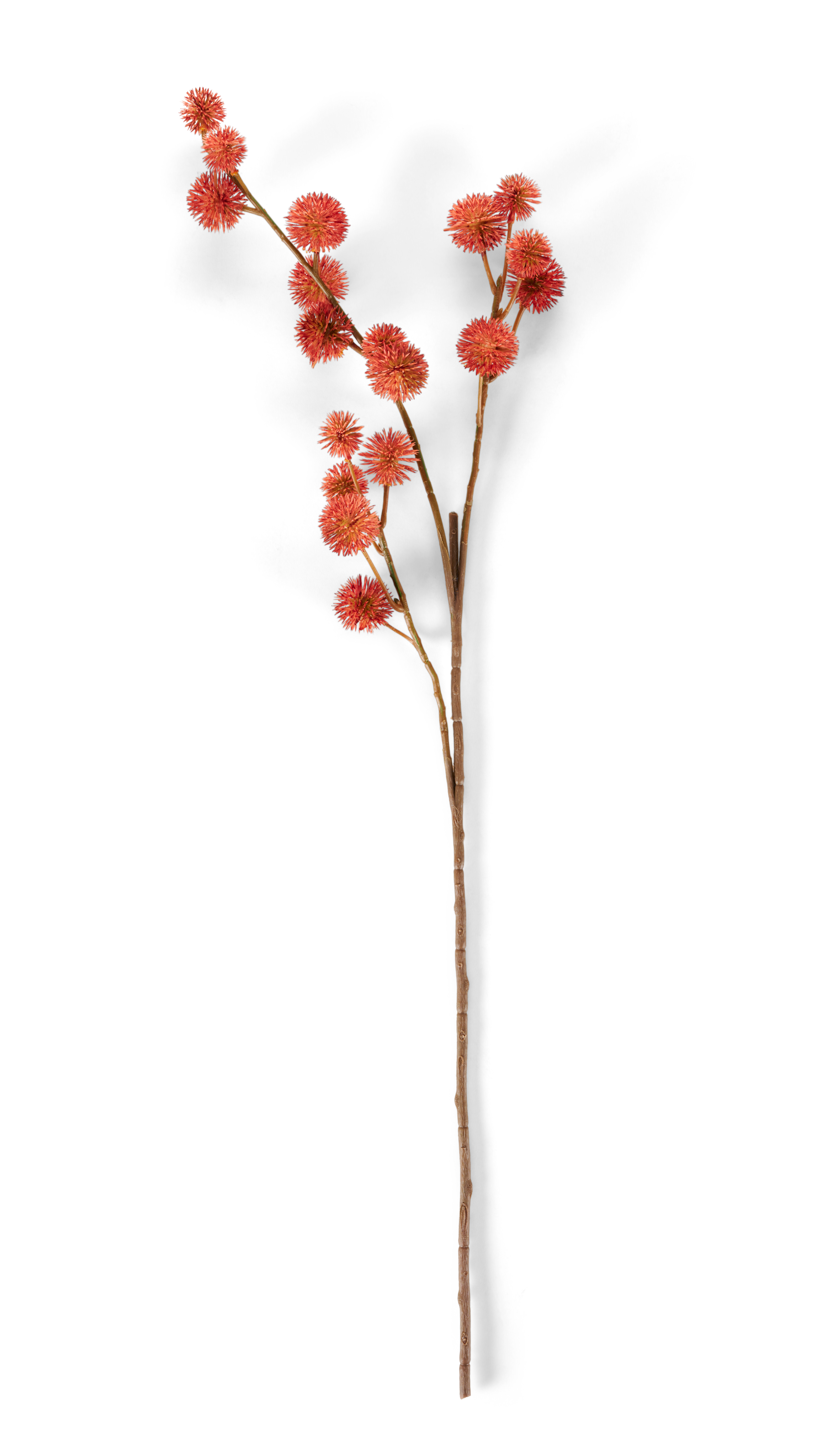 DANDIL Stengel oranjeL 85 cm