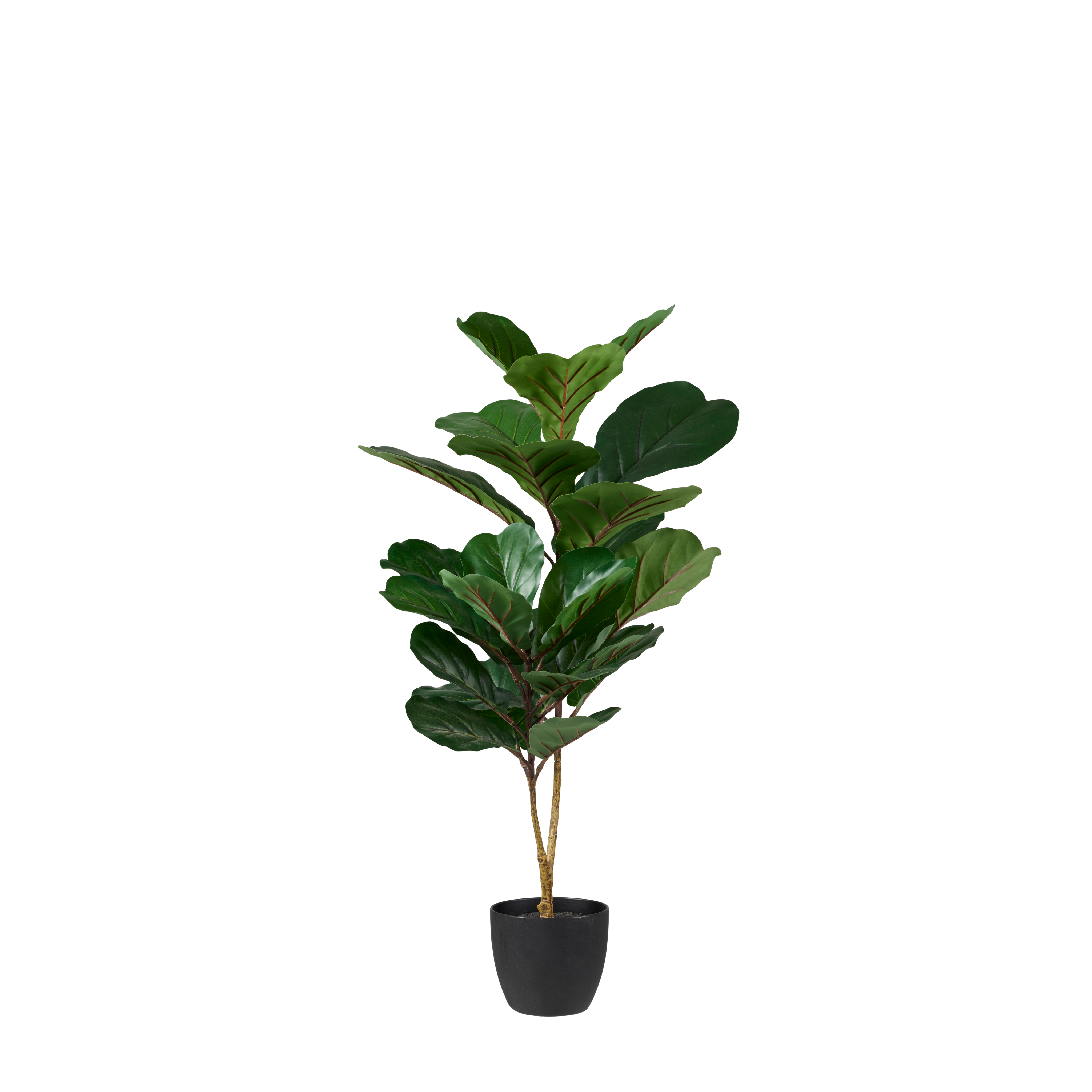 FIGI zwart, donkergroenH 80 cm