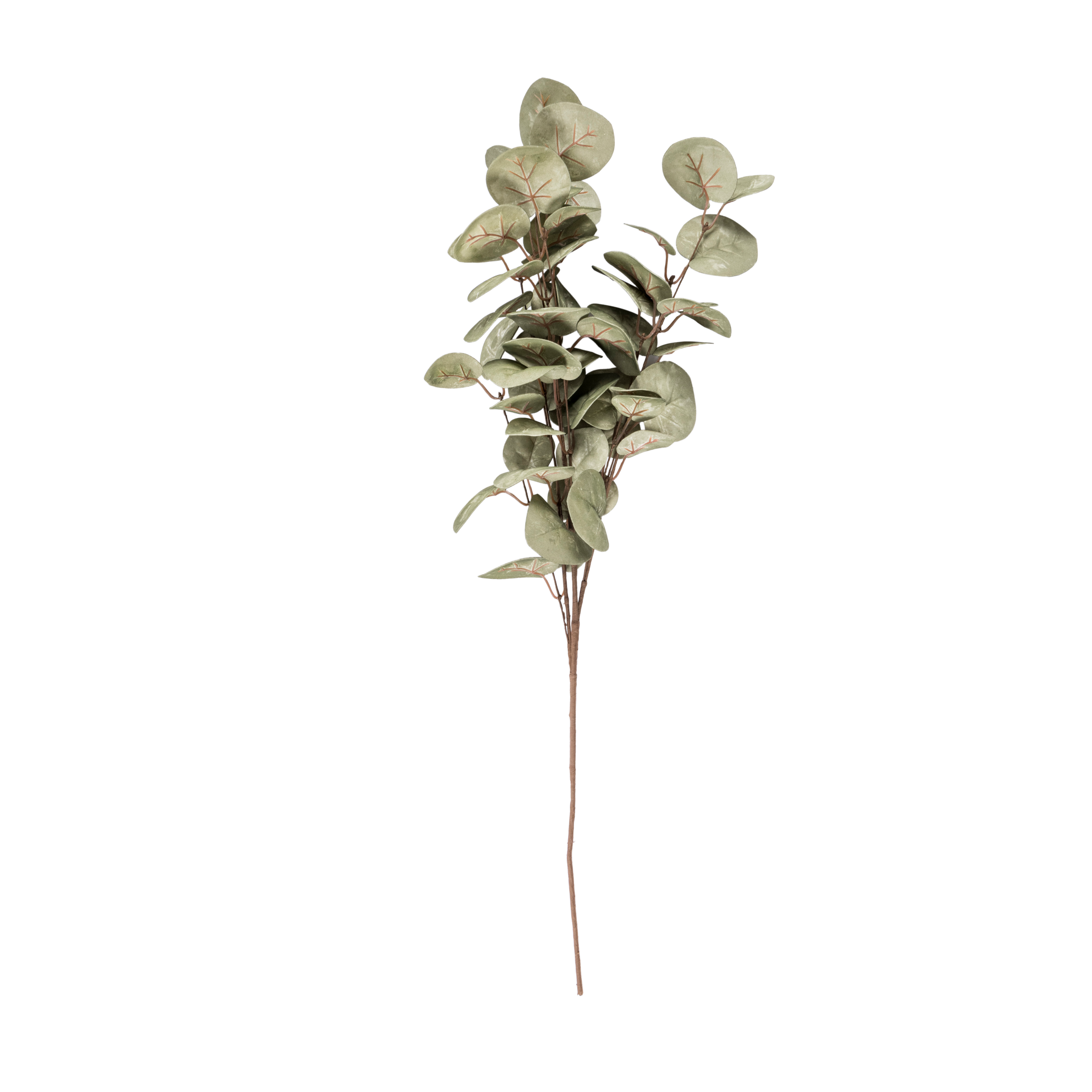 EVA Eucalyptus groenL 80 cm