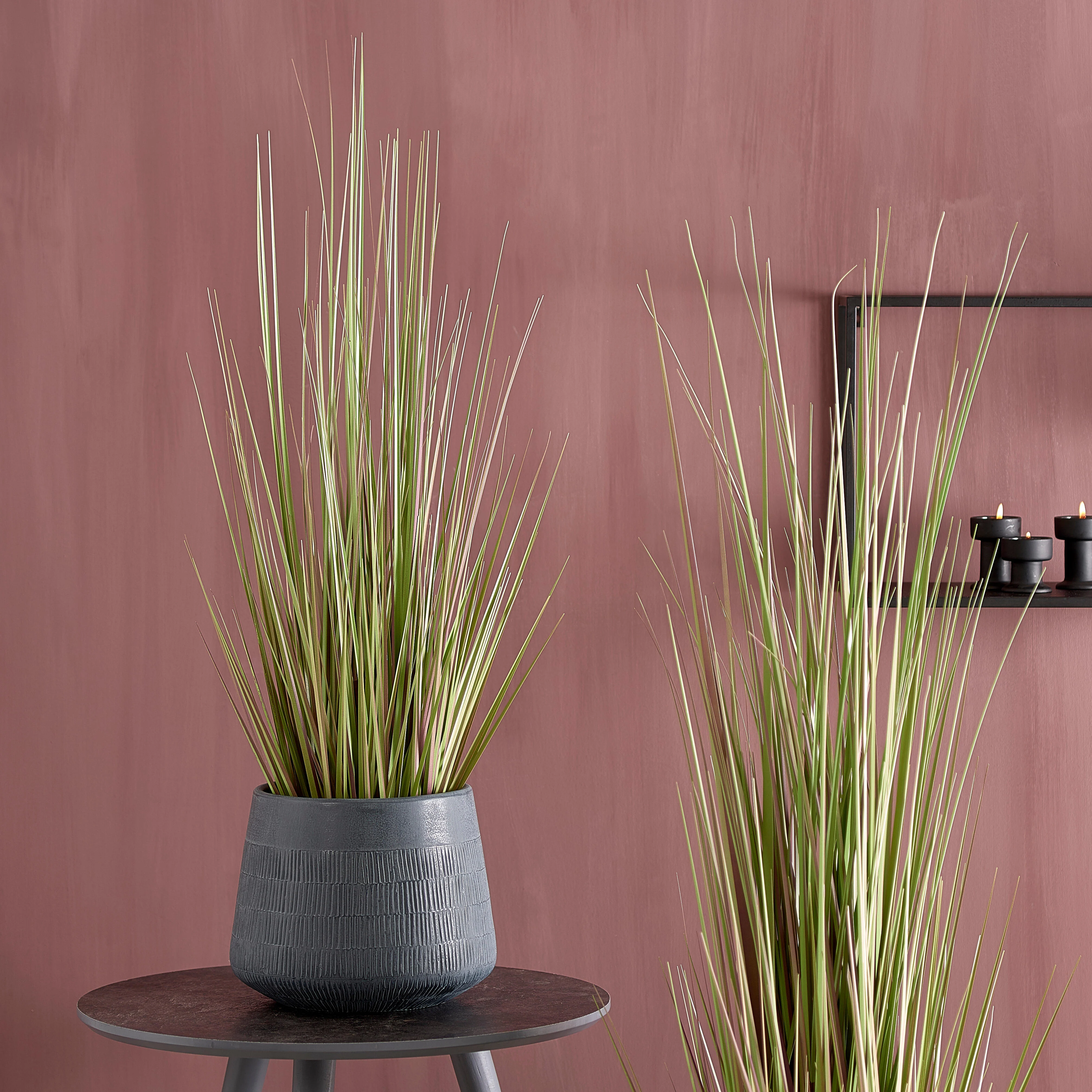 HERBA Gras in pot groenH 90 cm - Ø 13 cm - Ø 50 cm