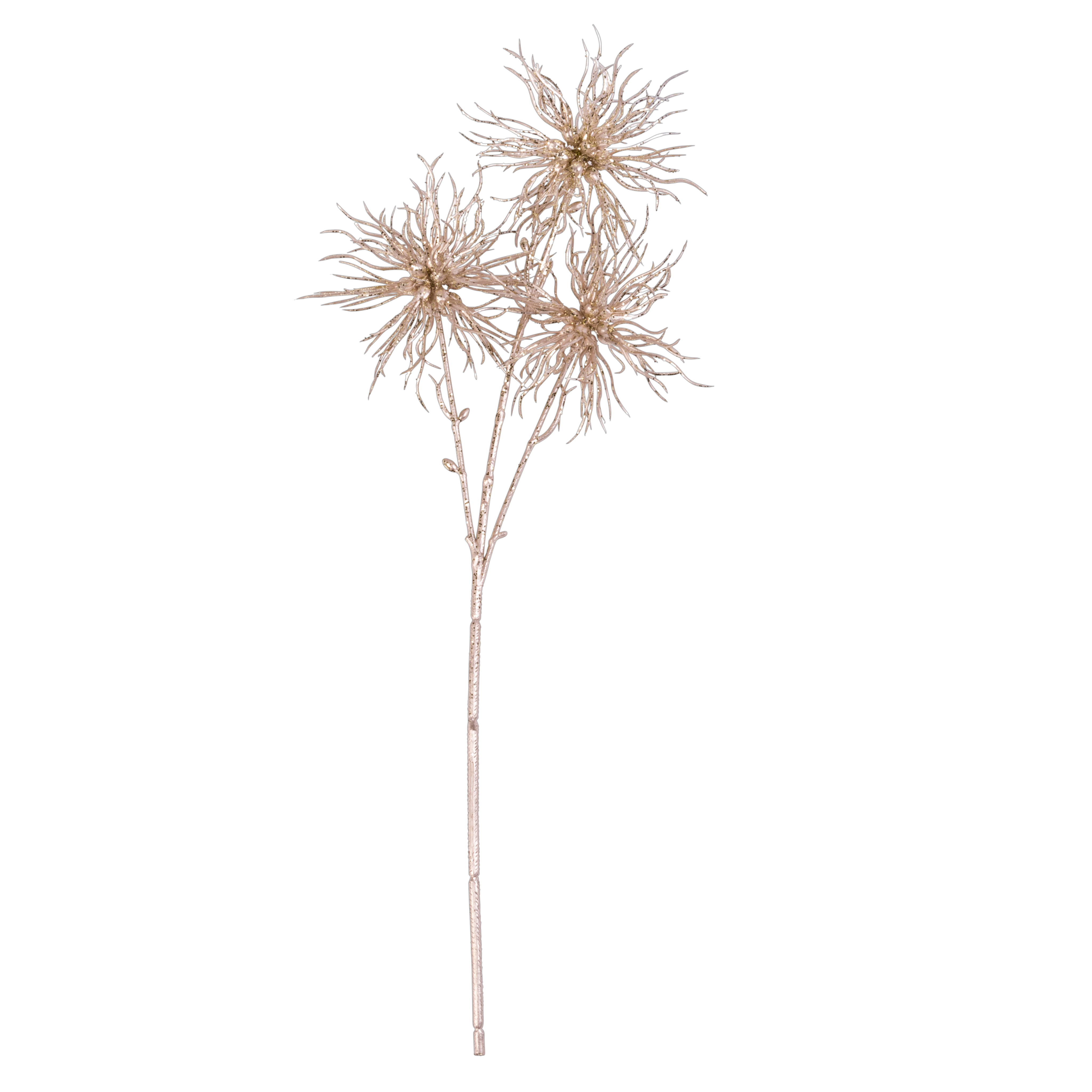 GOLDY Distel champagnegoudL 48 cm