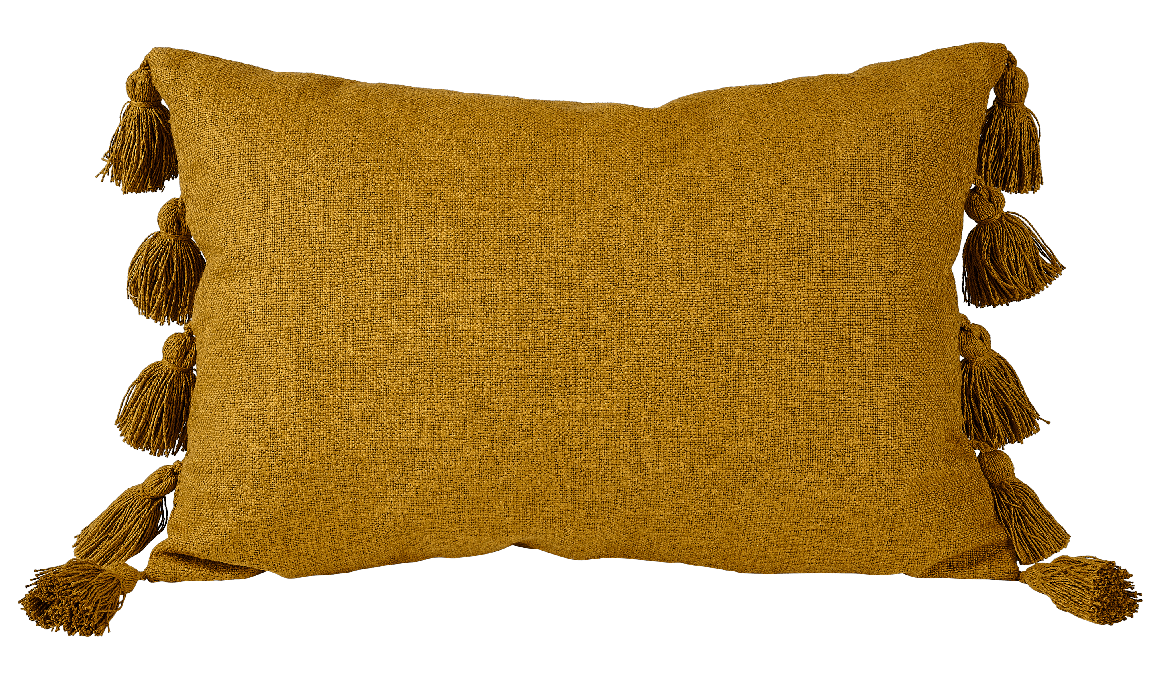 TASSI Kussen groenB 40 x L 60 cm