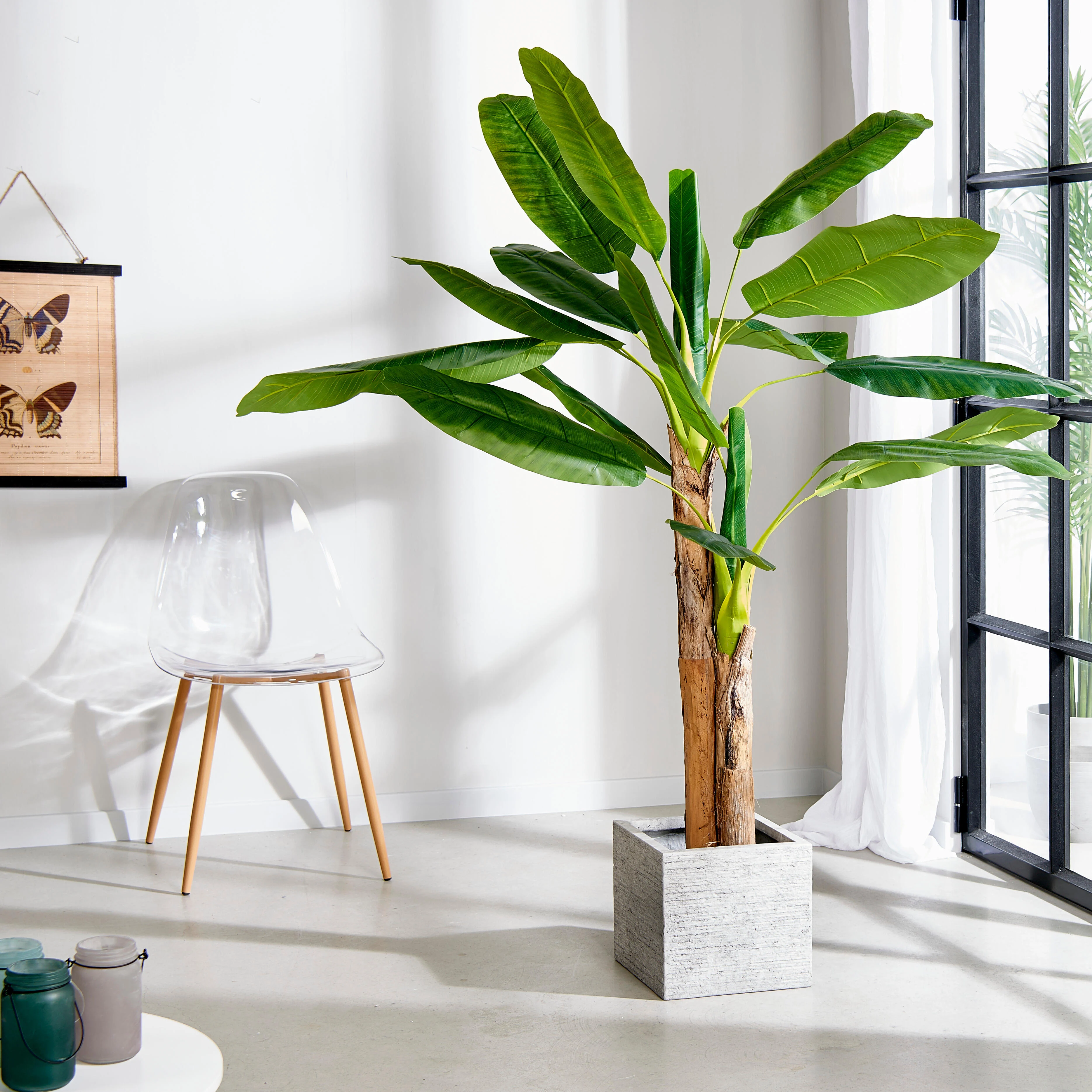 BANANA Bananenboom groenH 180 cm - Ø 20 cm