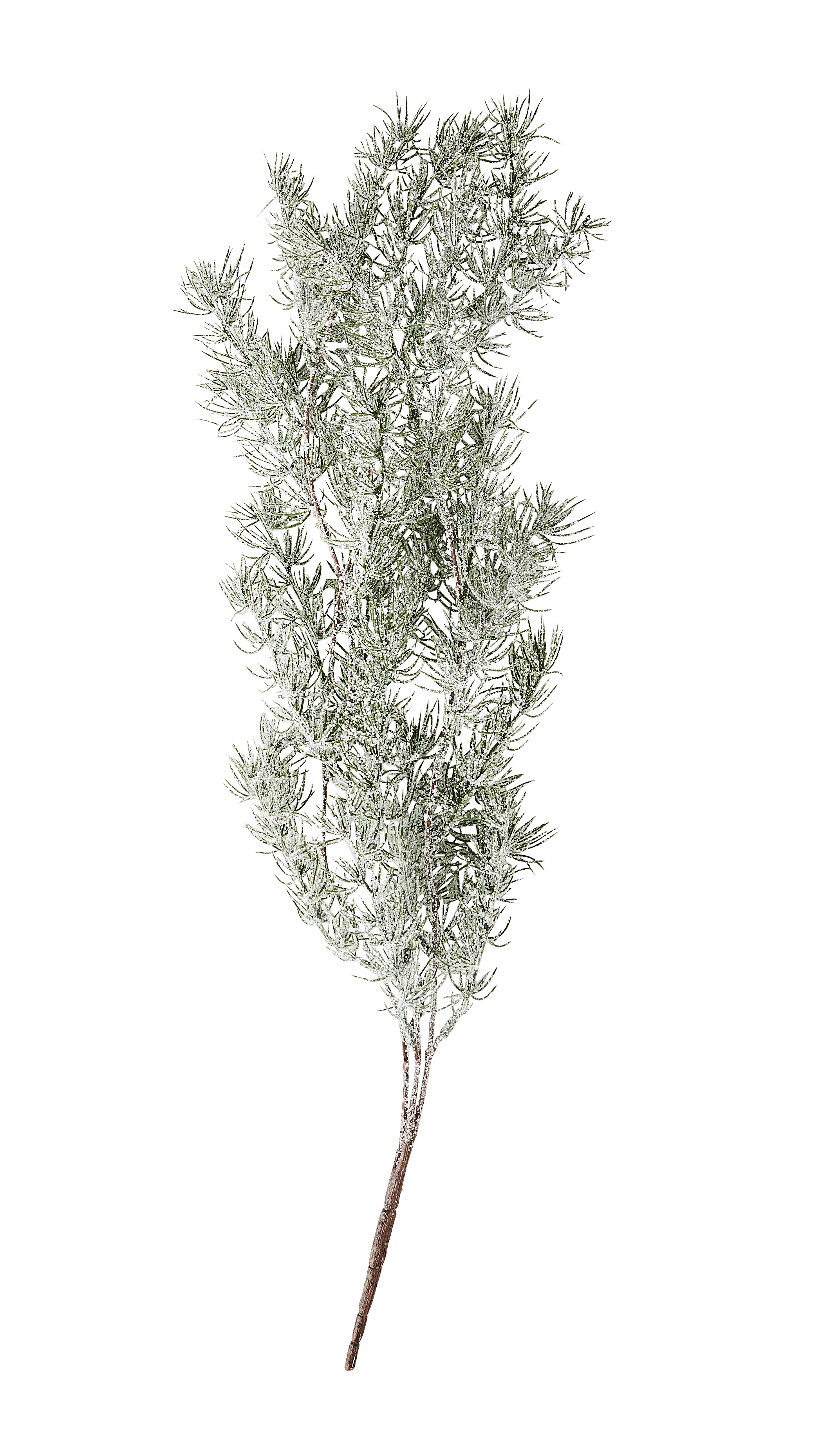 CEDER Decoratieve tak groenL 74 cm