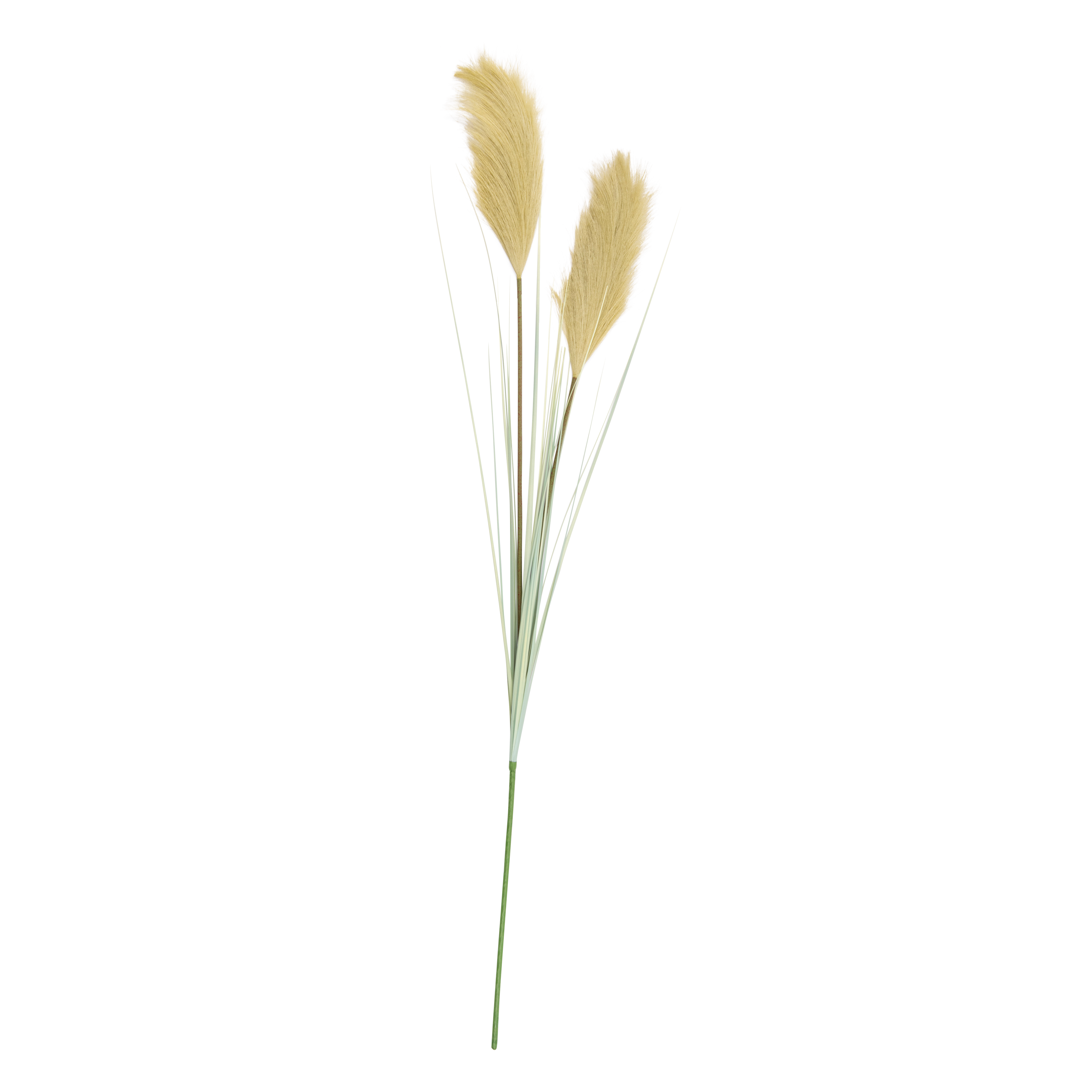 GRASS Rietpluim groenL 107 cm