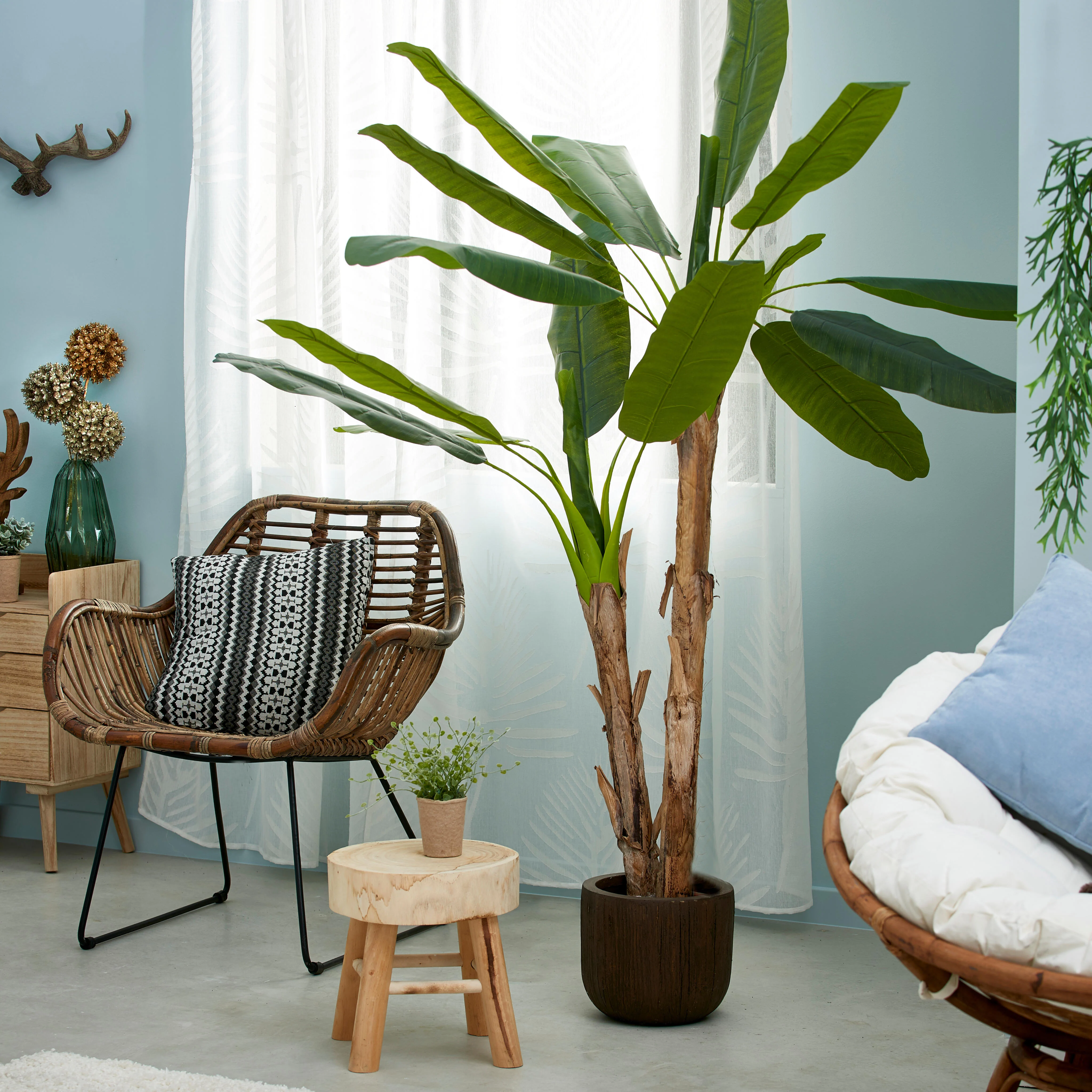 BANANA Bananenboom groenH 180 cm - Ø 20 cm