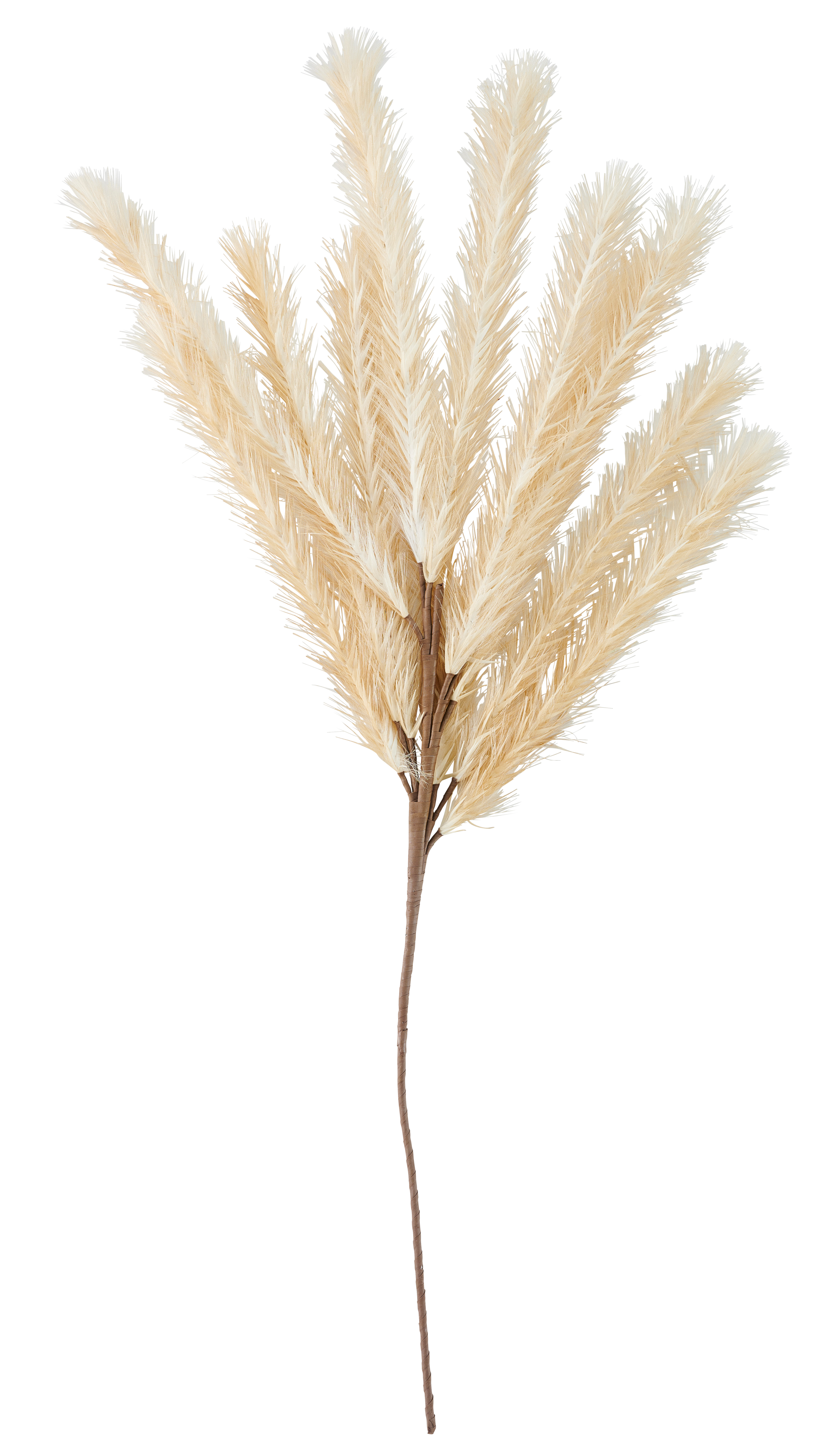 PLUME Kunstpluim beigeL 133 cm