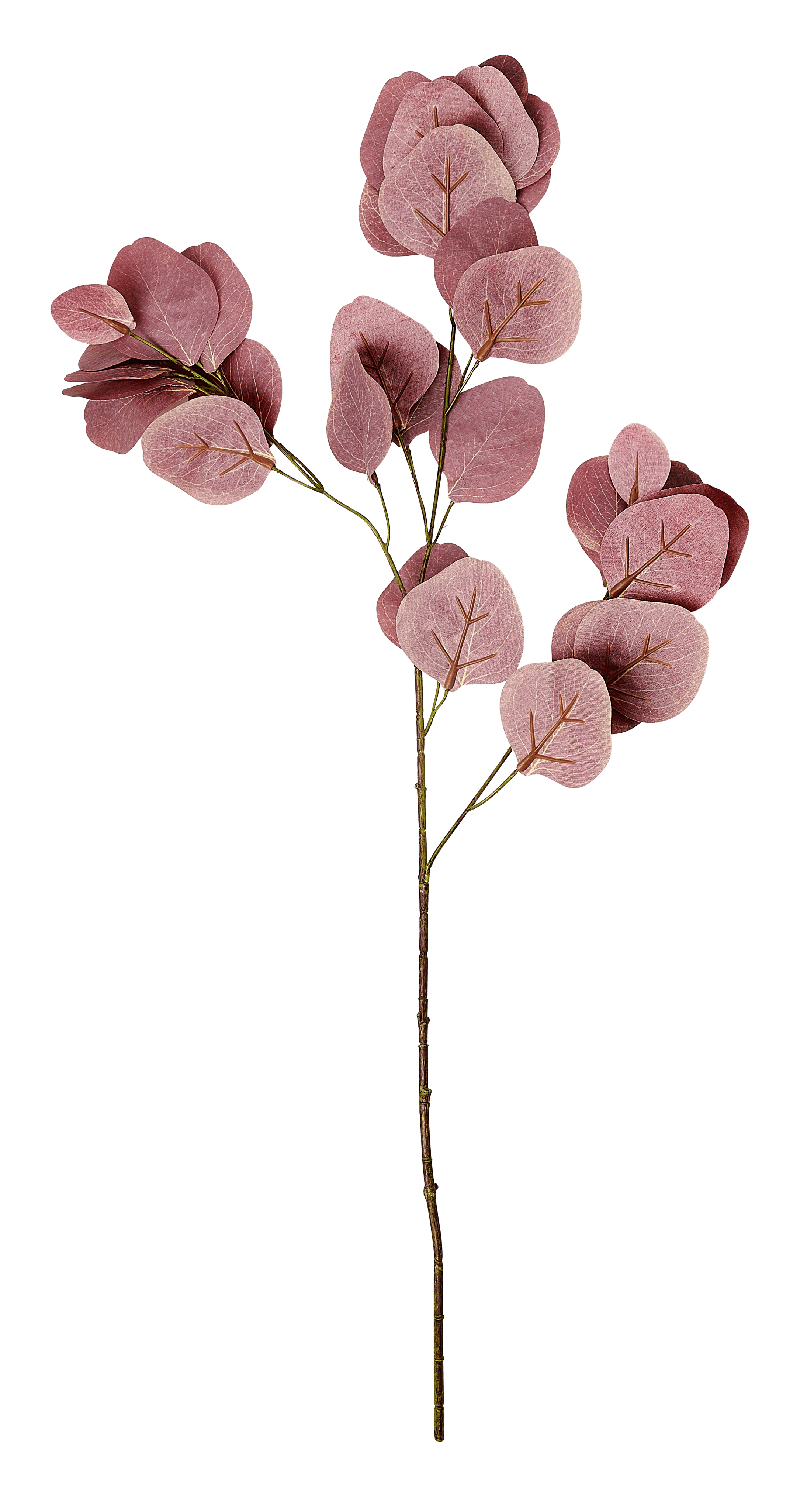 EUCALYPTUS Kunsttak bordeauxL 72 cm