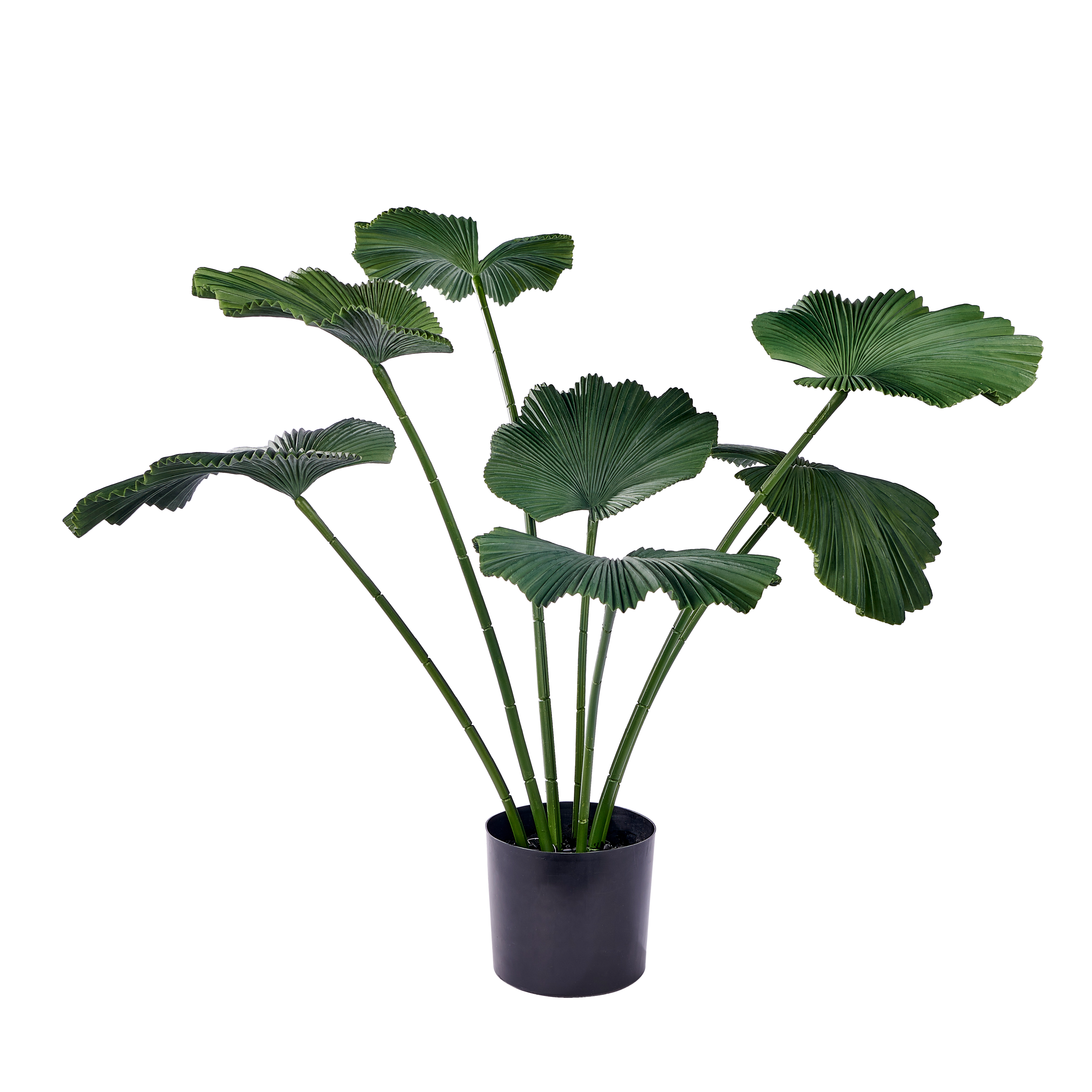 LOTUS Plant groenH 103 x D 83 cm