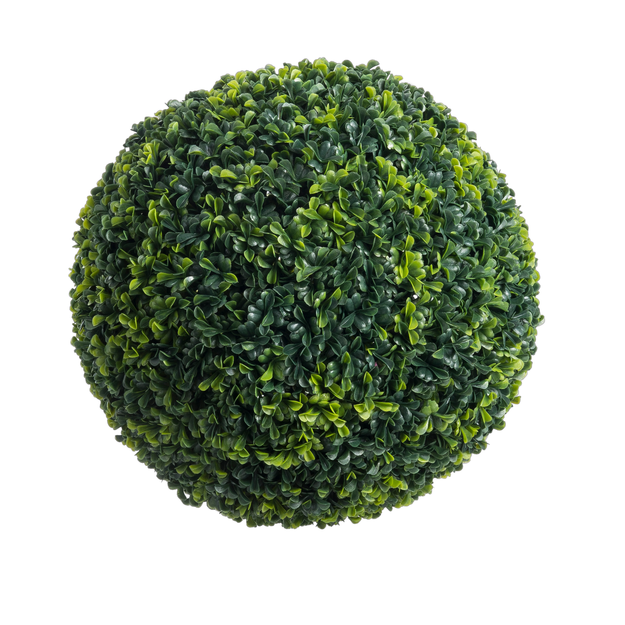 GREEN  Buxusbol groenØ 30 cm