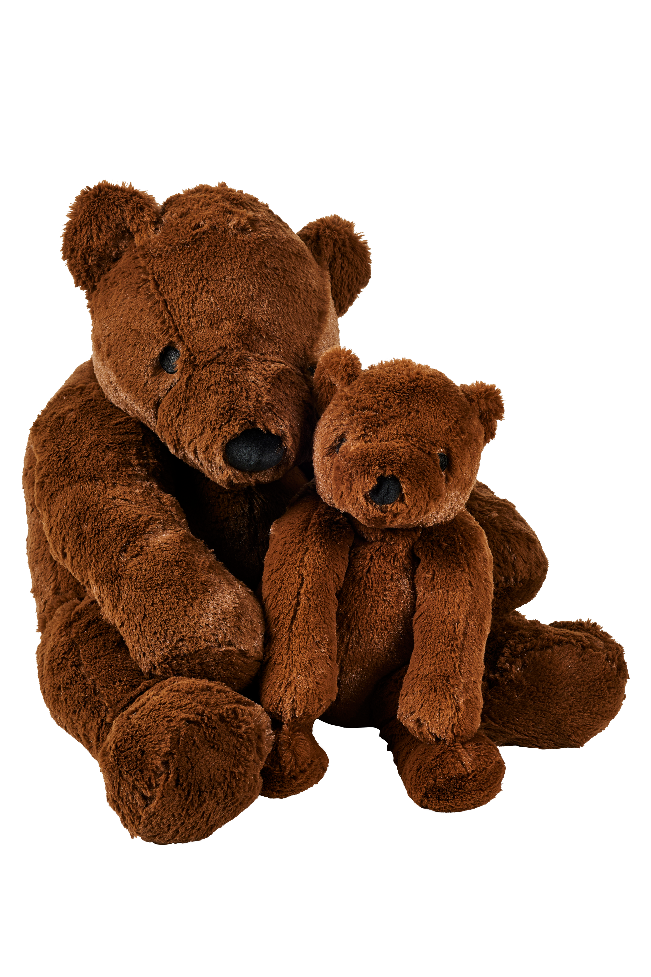 POLA Beer bruinH 30 cm