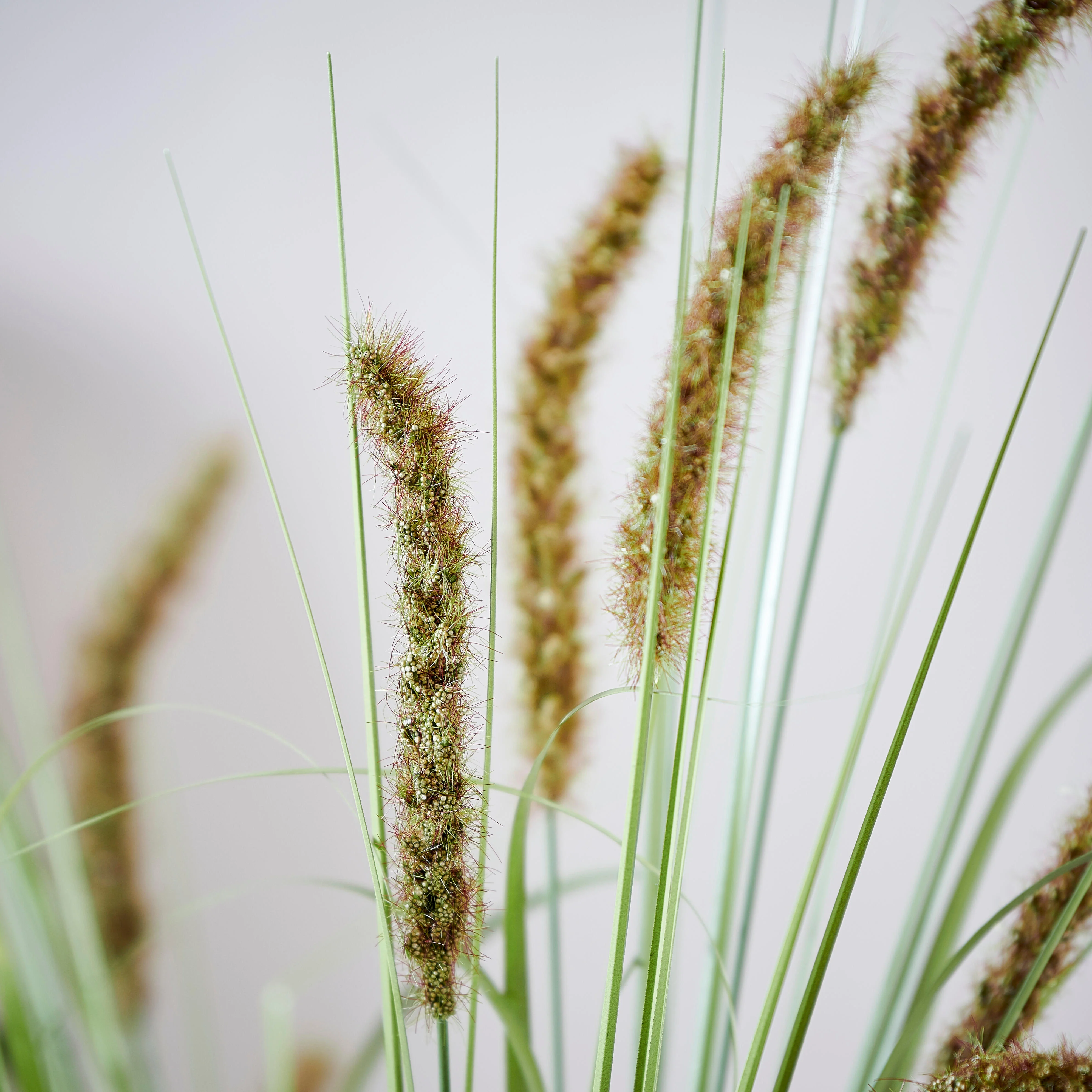 GRASS Kunstrietstengel groenL 89 cm