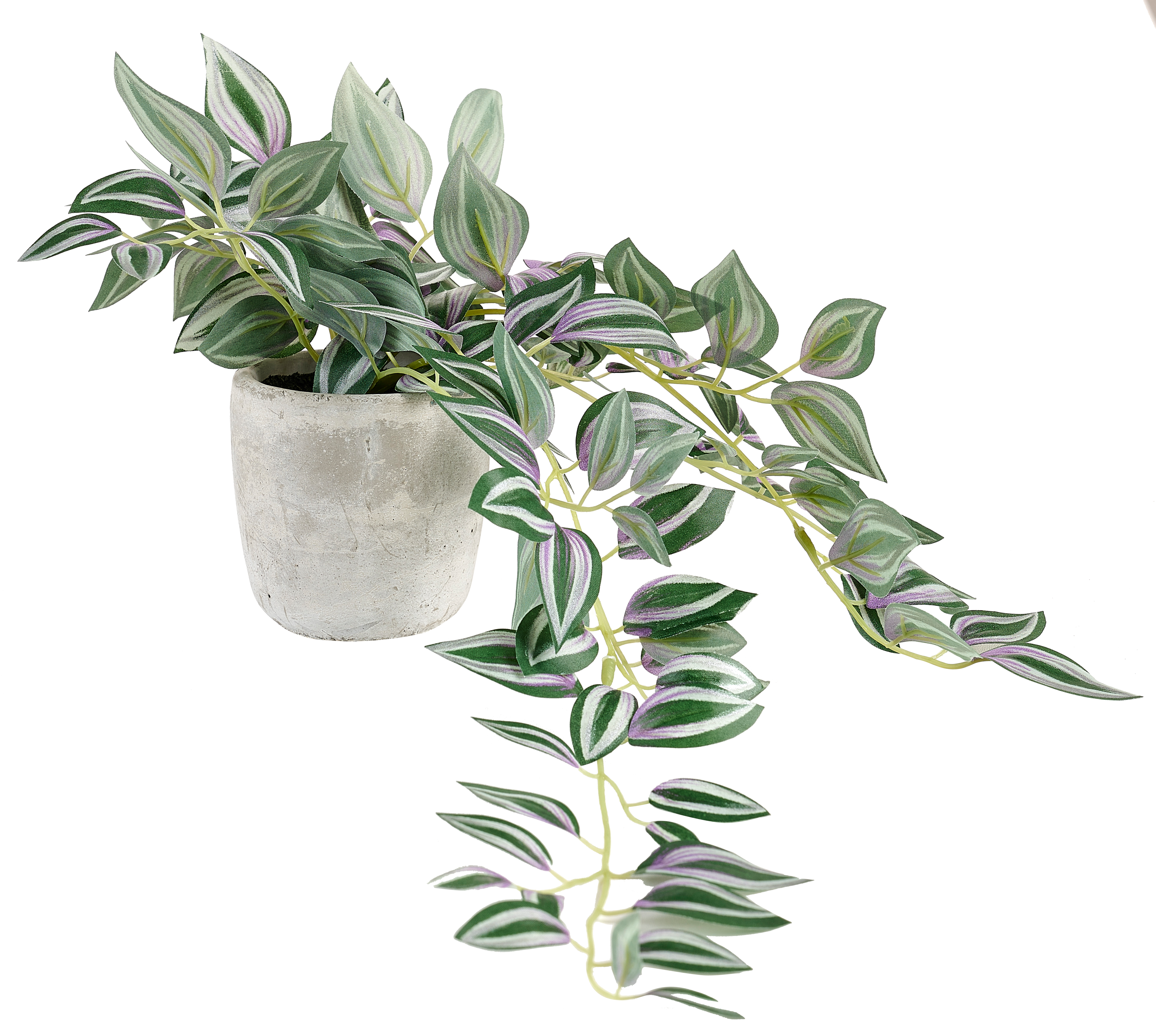 CALATHEA Hangplant grijs, groen, paarsH 22 x B 22 x L 45 cm