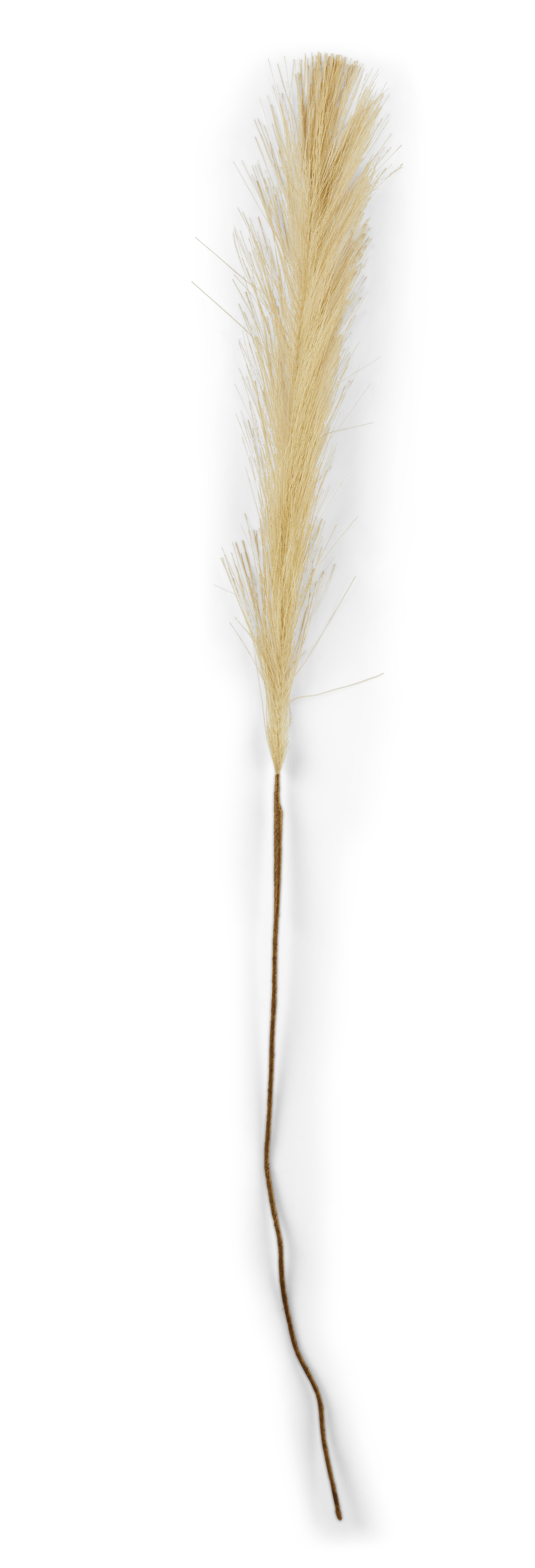 PLUME Decoratieve pluimen groenL 72 cm