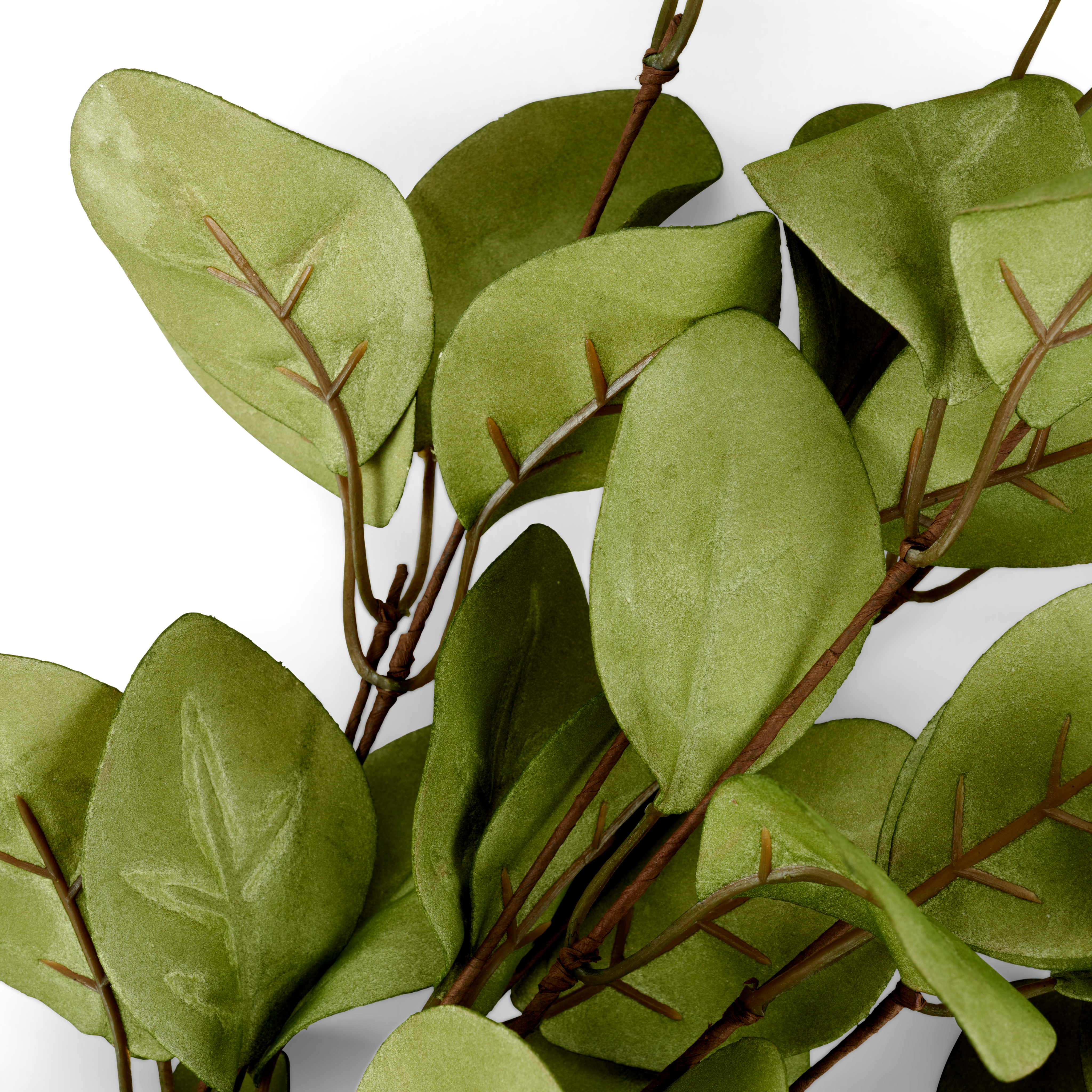 EVA Eucalyptus groenL 80 cm