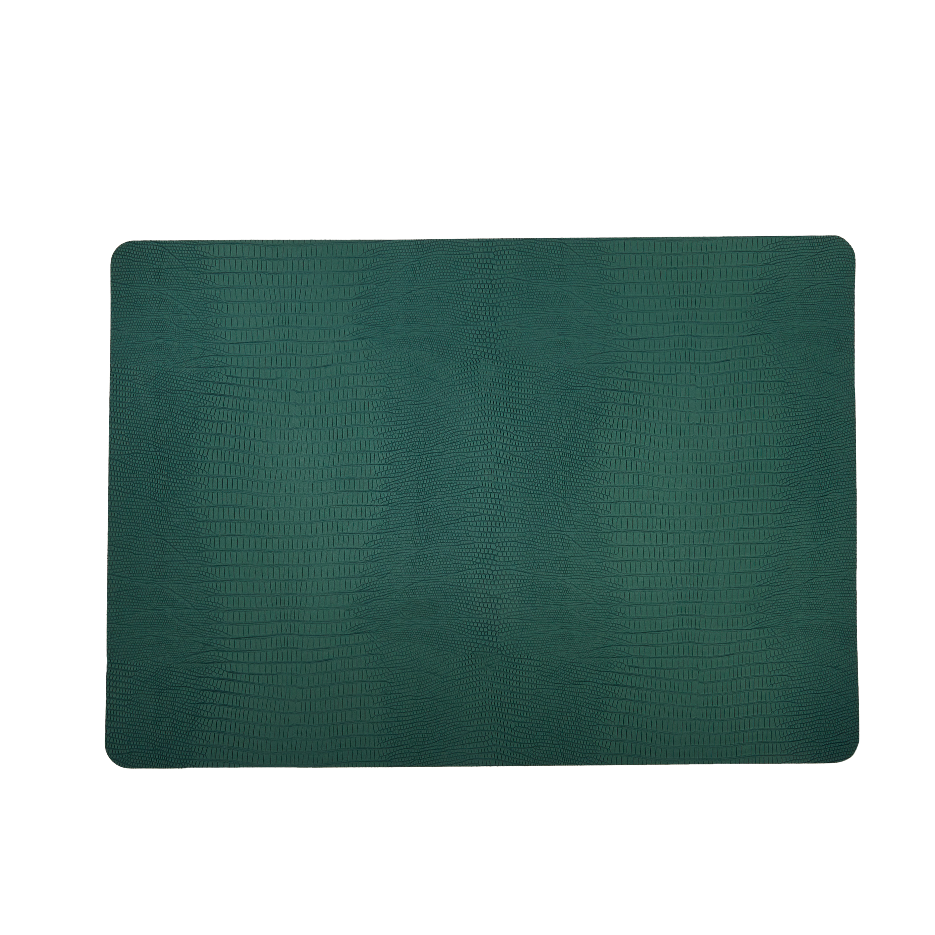 SERPA Placemat aquaH 33 x L 46 cm