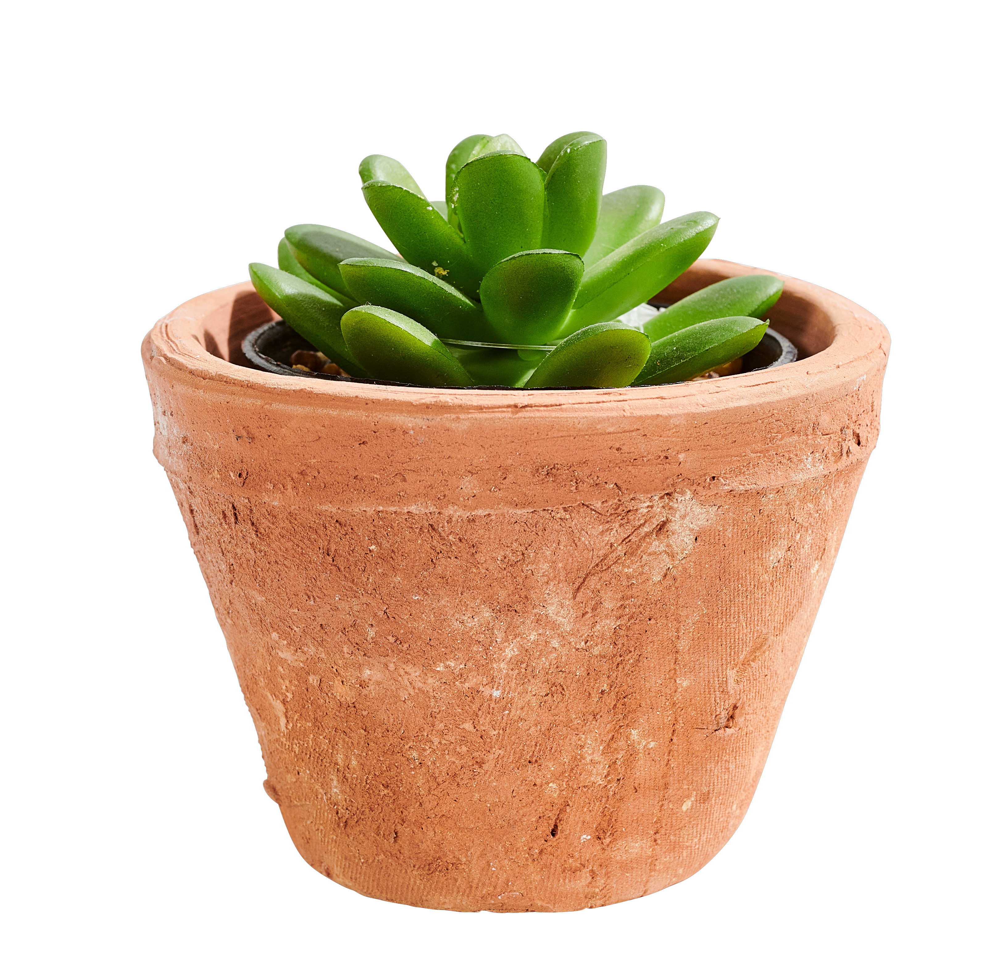 TIERRA Bloempot terracottaH 7,5 cm - Ø 10 cm