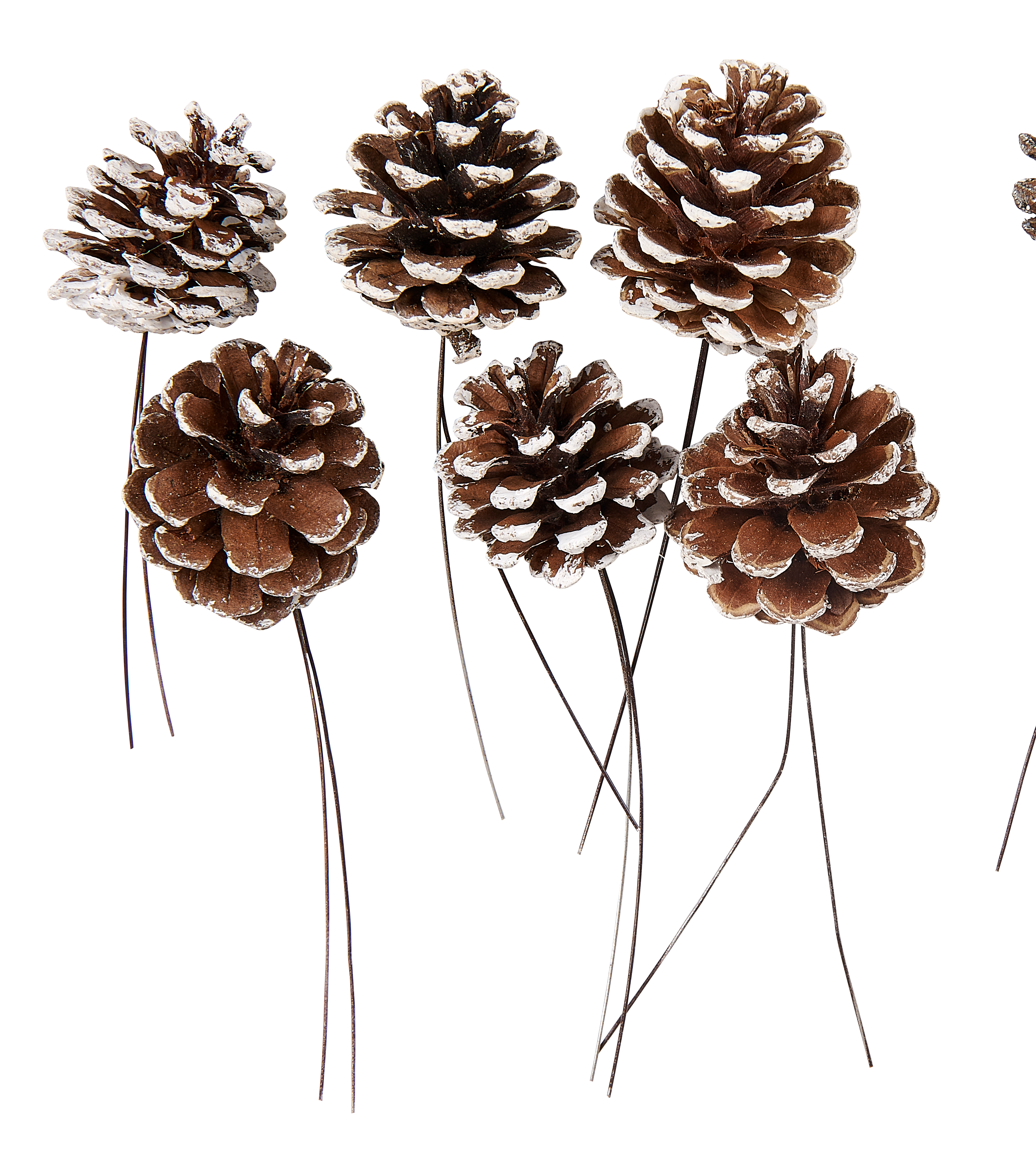 PINECONE Dennenappels set vn 6 2 kleuren wit, zilverL 10 cm - CASA