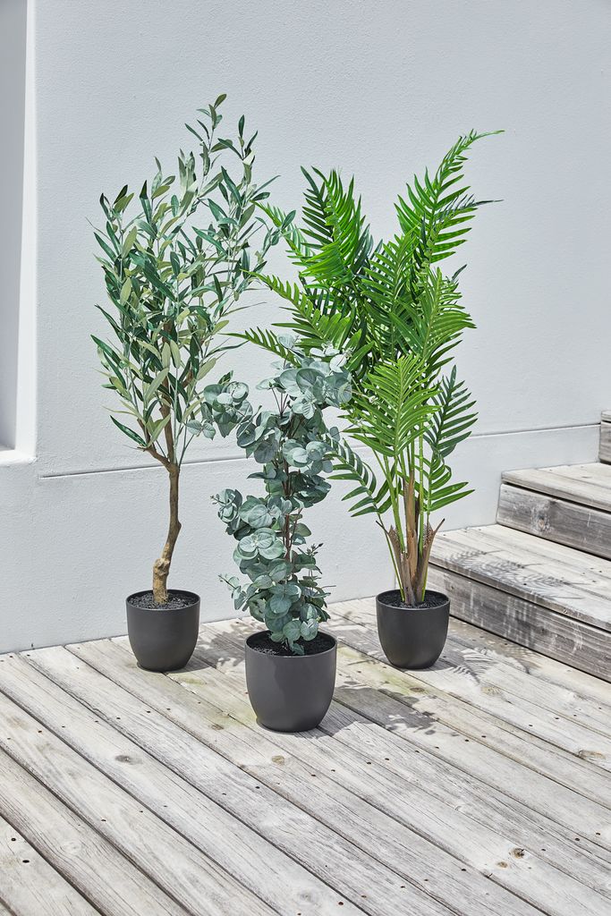 Artificial plant HAVHEST H125cm olive - CASA