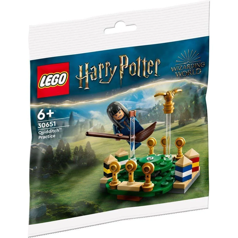 LEGO Harry Potter 30651 Quidditch Practice Polybag