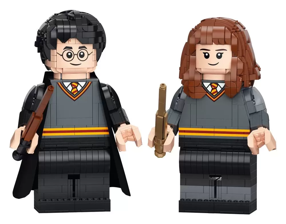 LEGO 76393 HARRY POTTER HARRY POTTER & HERMIONE GRANGER
