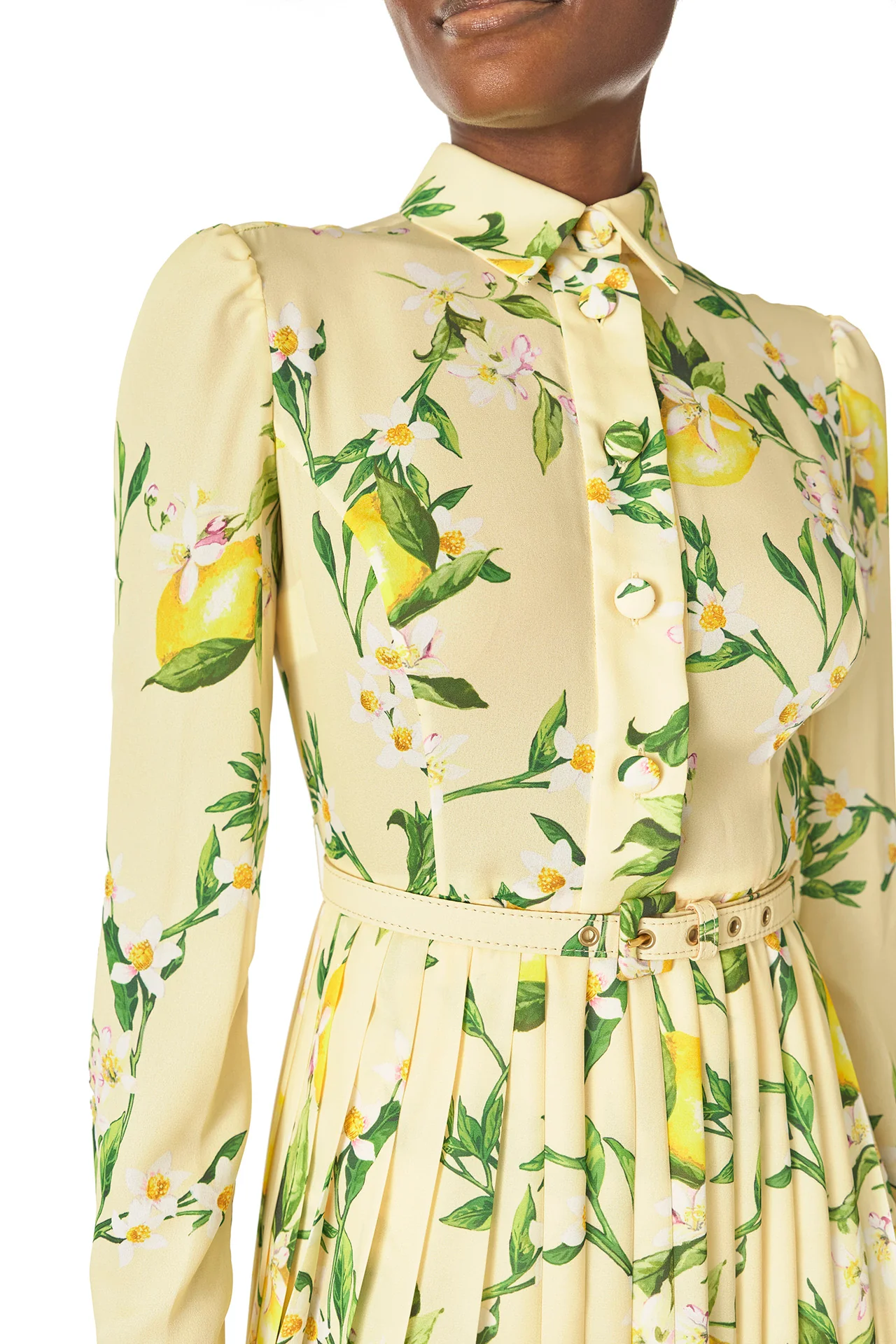 Pleated Button-Down Dress