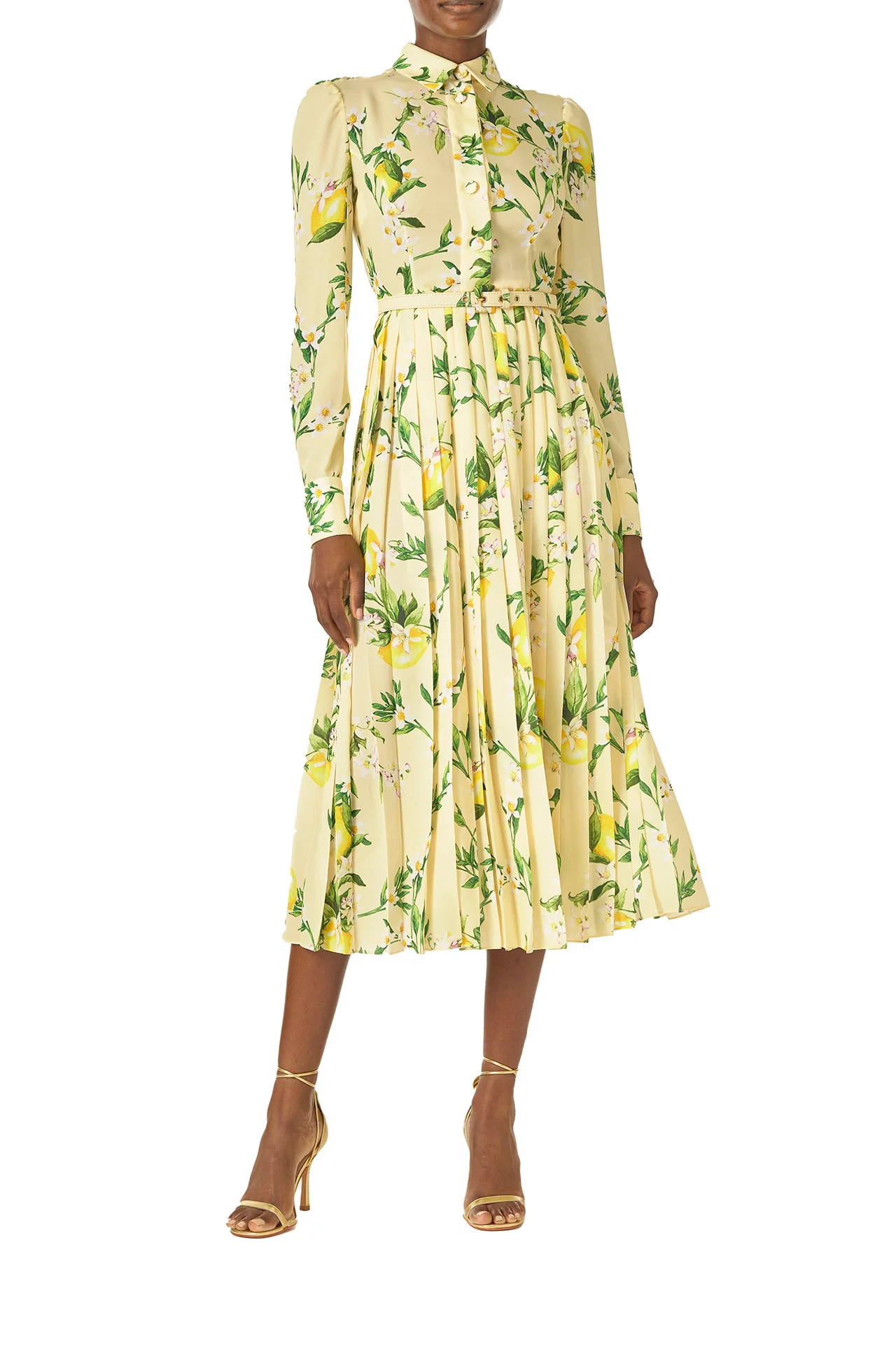 Pleated Button-Down Dress