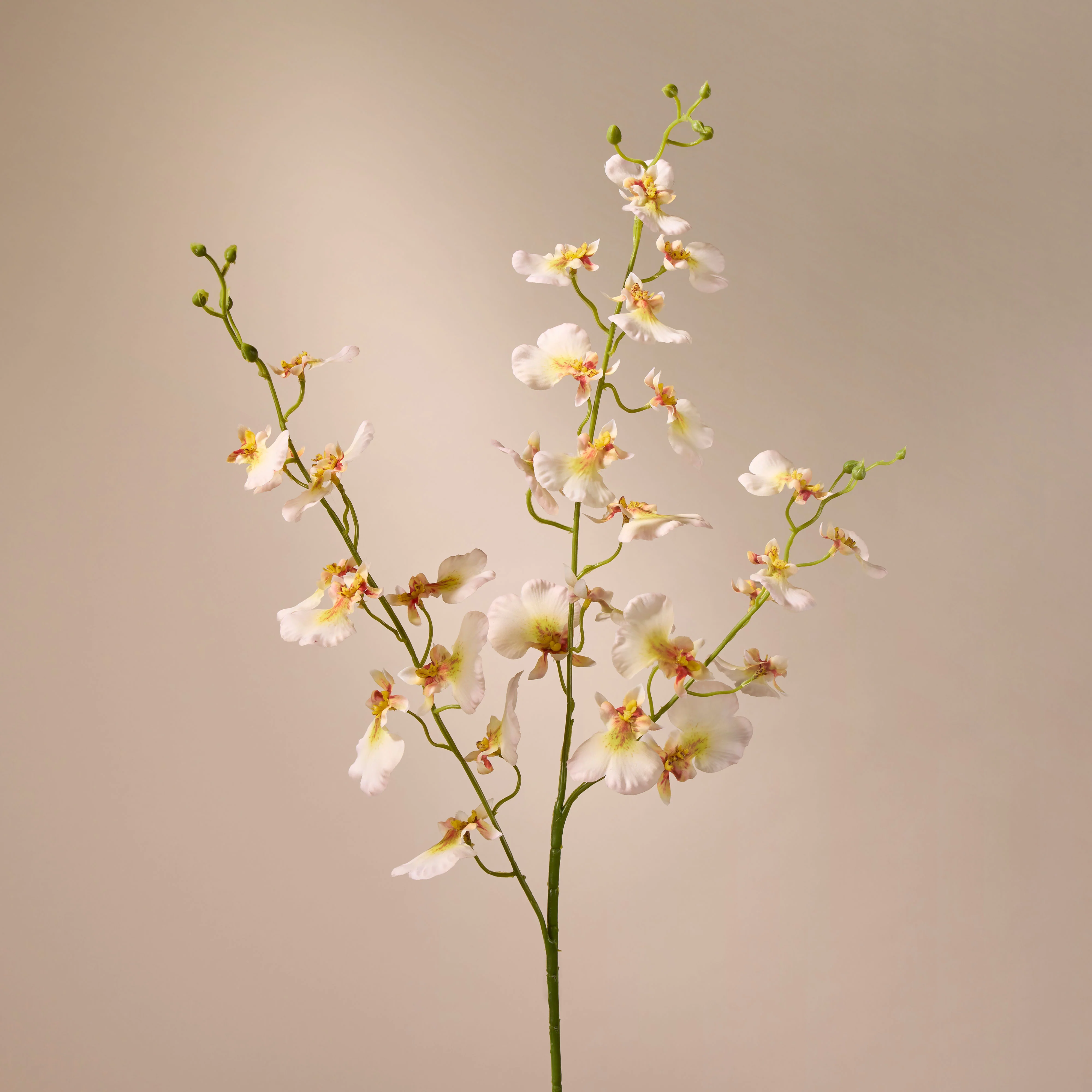 Faux Dancing Orchid Spray | Cream – 98cm