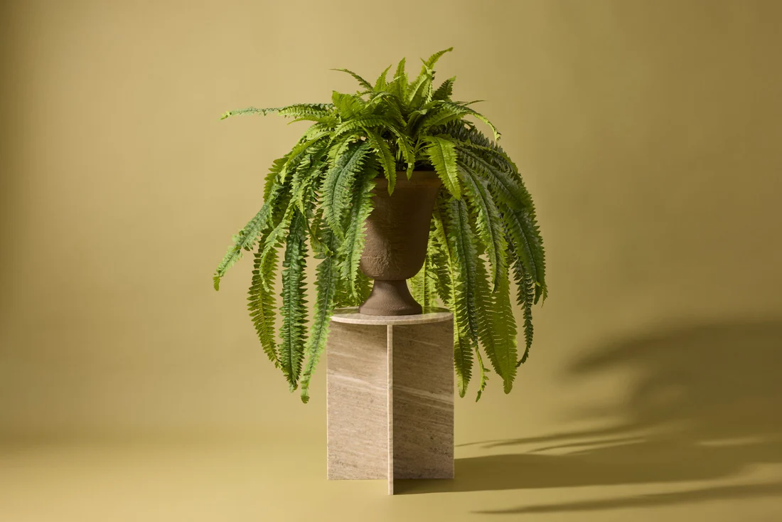 The Zonadez Guide to Caring for Your Faux Plants