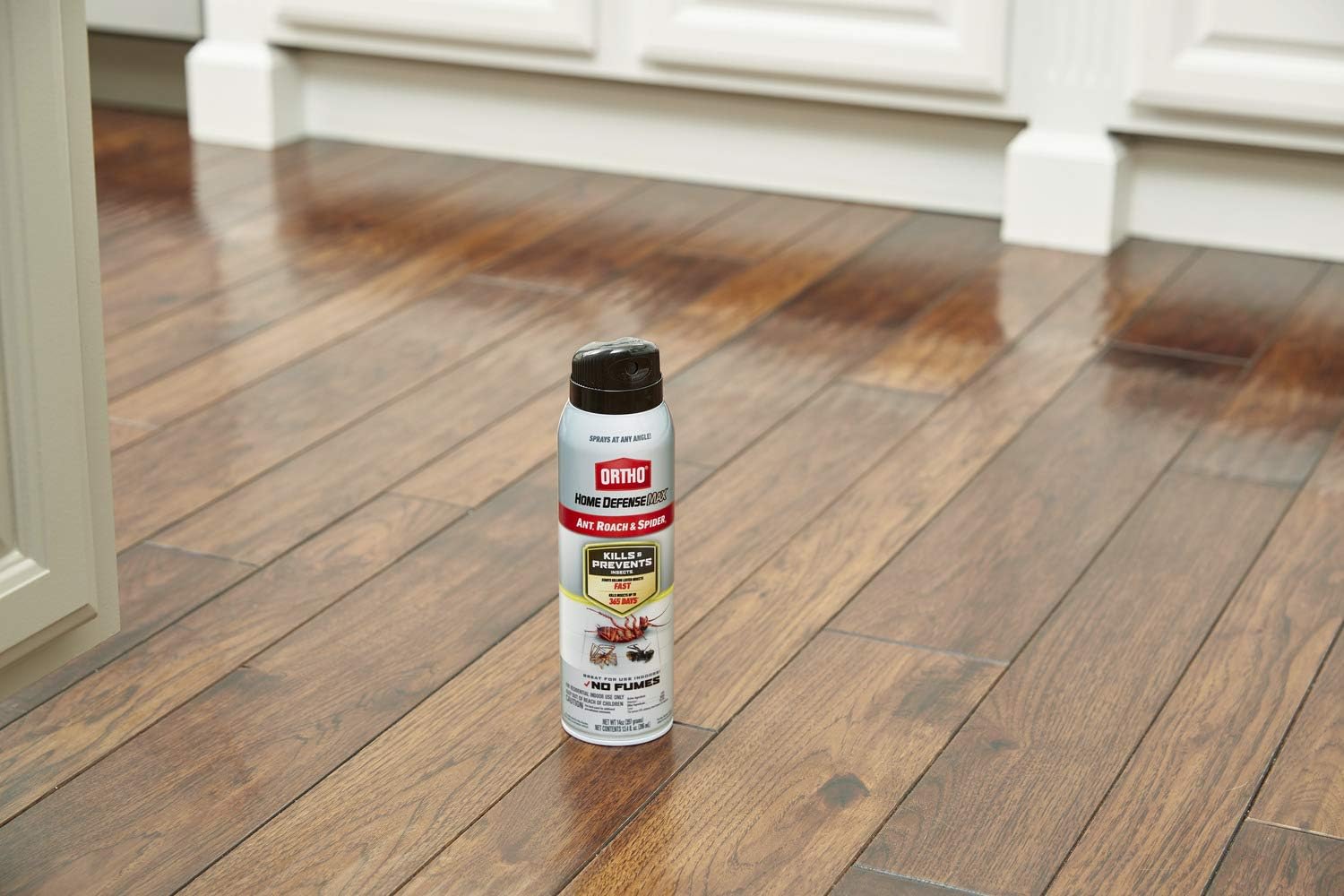 Ortho Home Defense Max Indoor Insect Barrier: Starts to Kill Ants, Roaches, Spiders, Fleas & Ticks Fast, 1 gal.