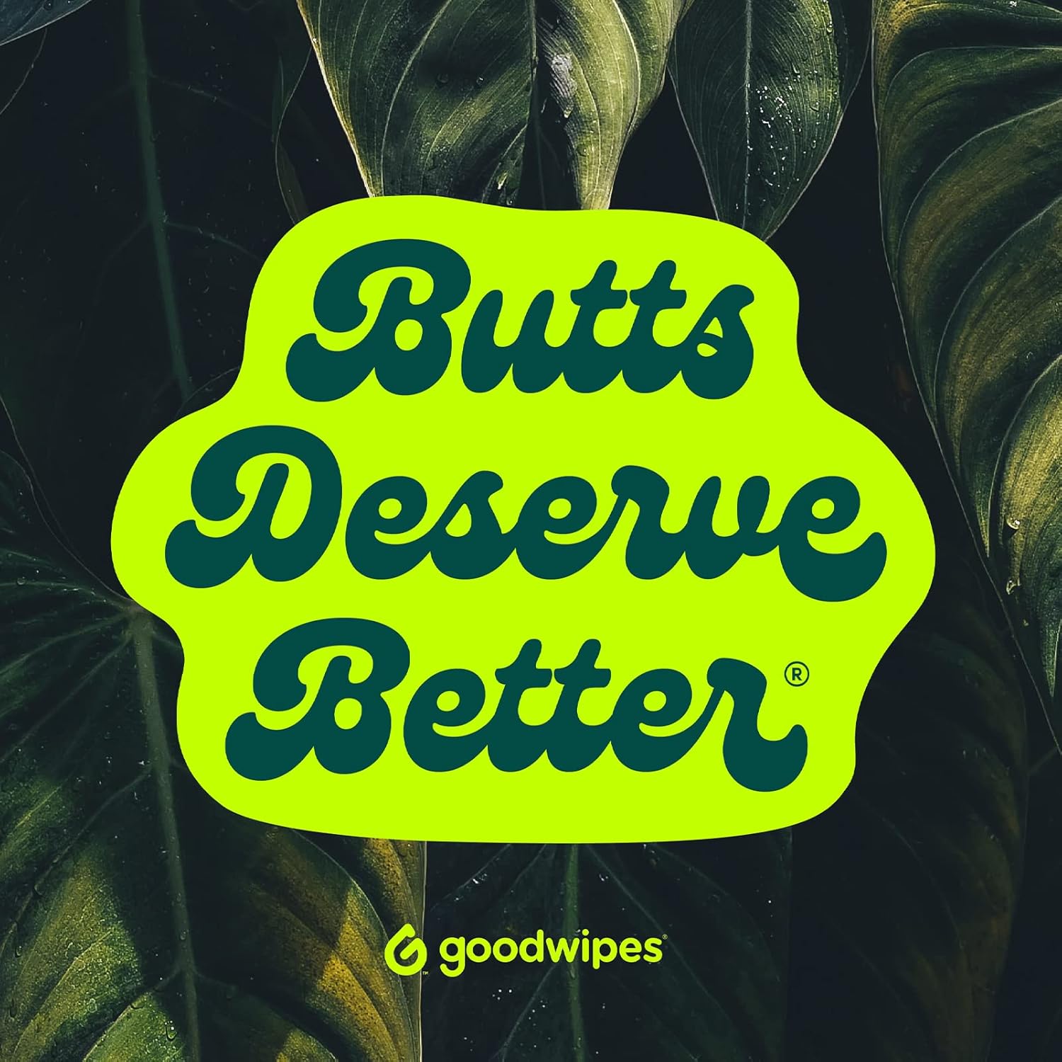 Goodwipes Flushable Butt Wipes – Soothing Botanicals & Aloe – Septic & Sewer Safe – Largest Adult Toilet Wipes – Rosewater, 360 count (6 packs)