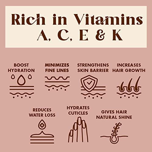 Provence Multi-Use Face, Body & Hair Oil - Hydrates Skin, Restores Shine - With Apricot, Coconut Oil & Vitamin E - 4 Fl Oz