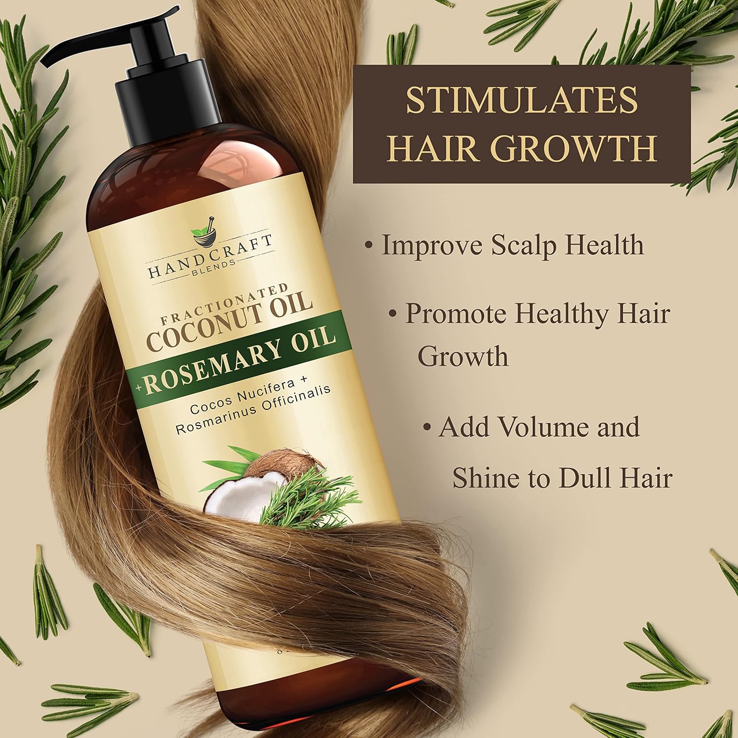 Handcraft Blends Fractionated Coconut Oil - 16 Fl Oz - 100% Pure and Natural - Premium Grade Oil for Skin and Hair - Carrier Oil - Hair and Body Oil - Massage Oil - Hair Tonic