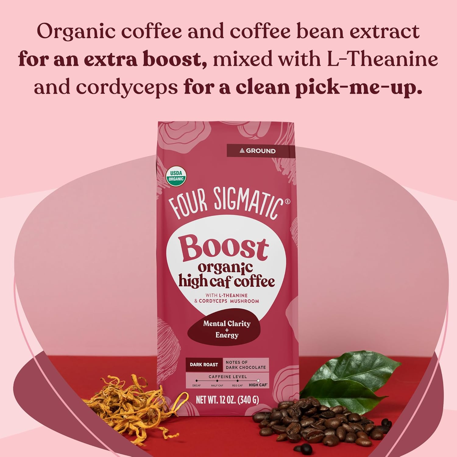 Four Sigmatic Think Mushroom Coffee | Organic Ground Coffee with Lion's Mane Mushroom and Chaga Mushroom | Nootropic Mushroom Coffee for Better Focus and Immune Support | 12oz Bag