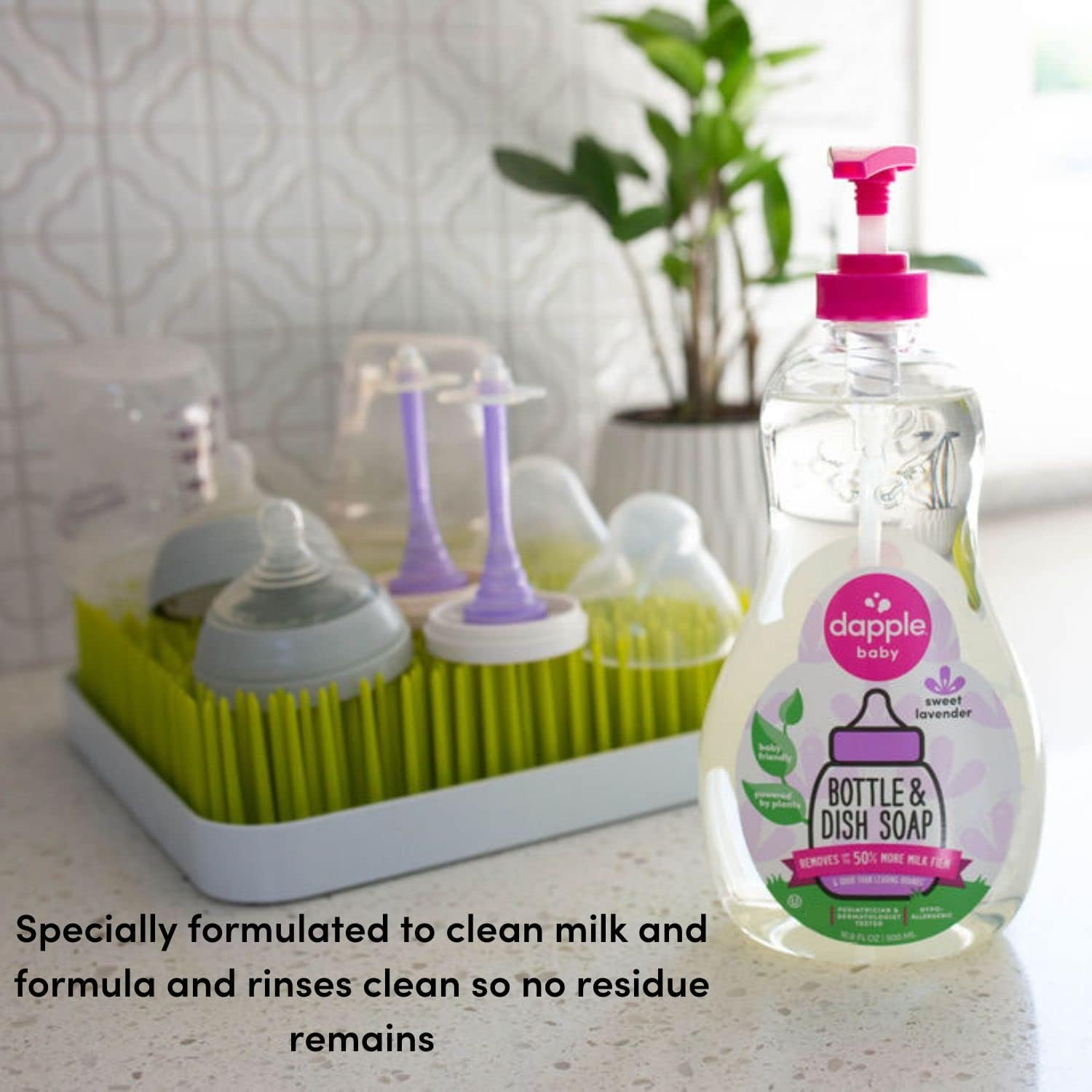 Dapple Baby Bottle Soap, Hypoallergenic Dish Soap for Baby Bottles, Powered by Plants, 1 Pump Included, Packaging May Vary, Fragrance Free, 16.9 Fl Oz (Pack of 3)