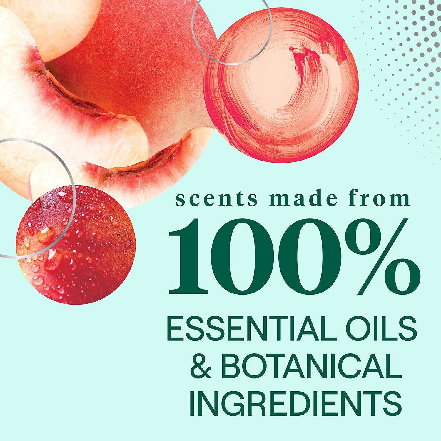 Seventh Generation Dish Liquid Soap Free & Clear liquid soap Pack of 6 Dishwashing Soap Dish Soap for sensitive skin 19 oz