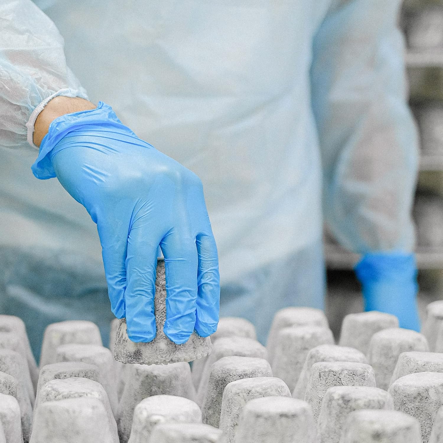 Schneider Vinyl Synthetic Exam Gloves, 4 Mil, Latex Free Disposable Gloves for Medical, Cooking, Cleaning, and Food Prep