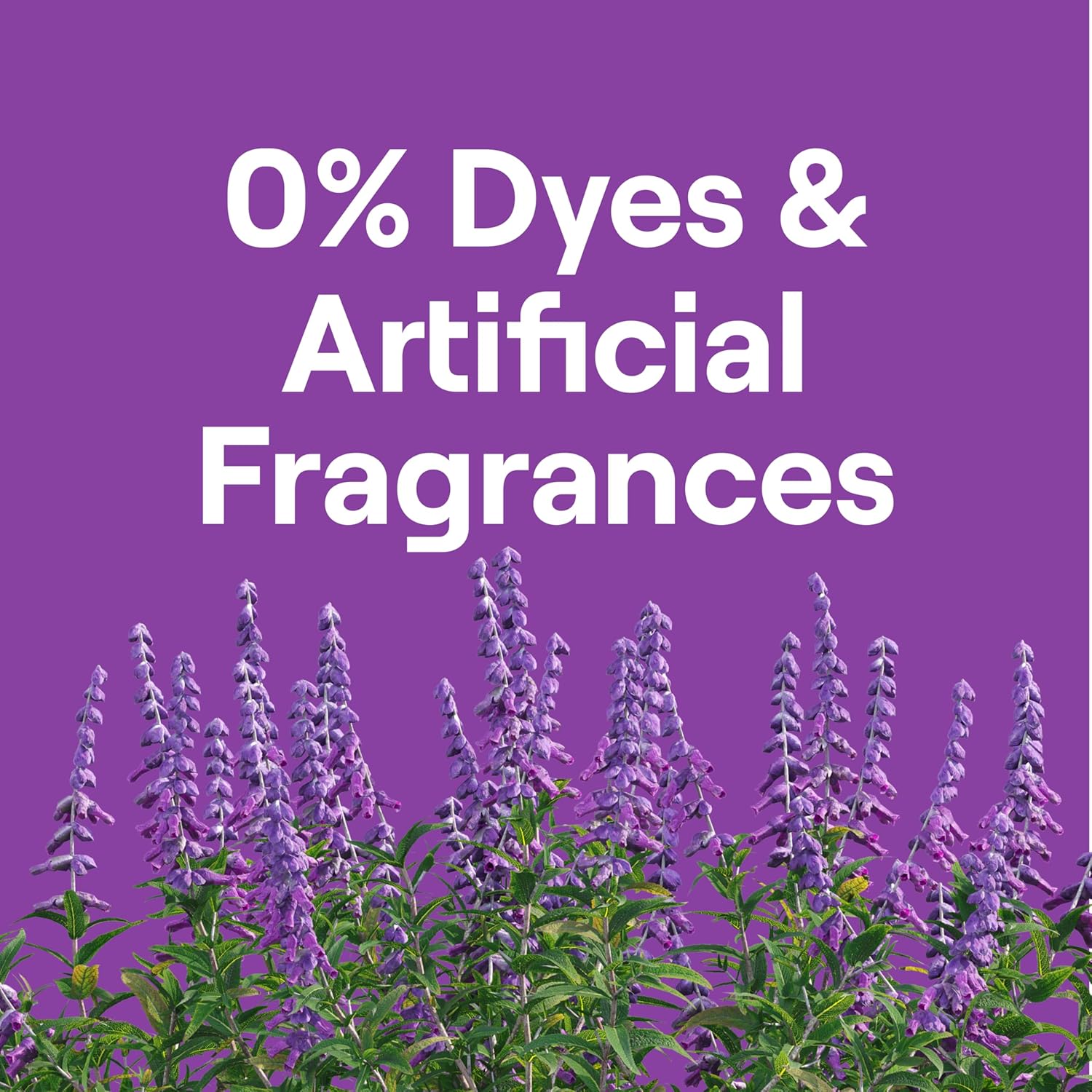 Seventh Generation Concentrated Laundry Detergent Liquid Free & Clear Fragrance Free 40 Fl Oz (Pack of 2)