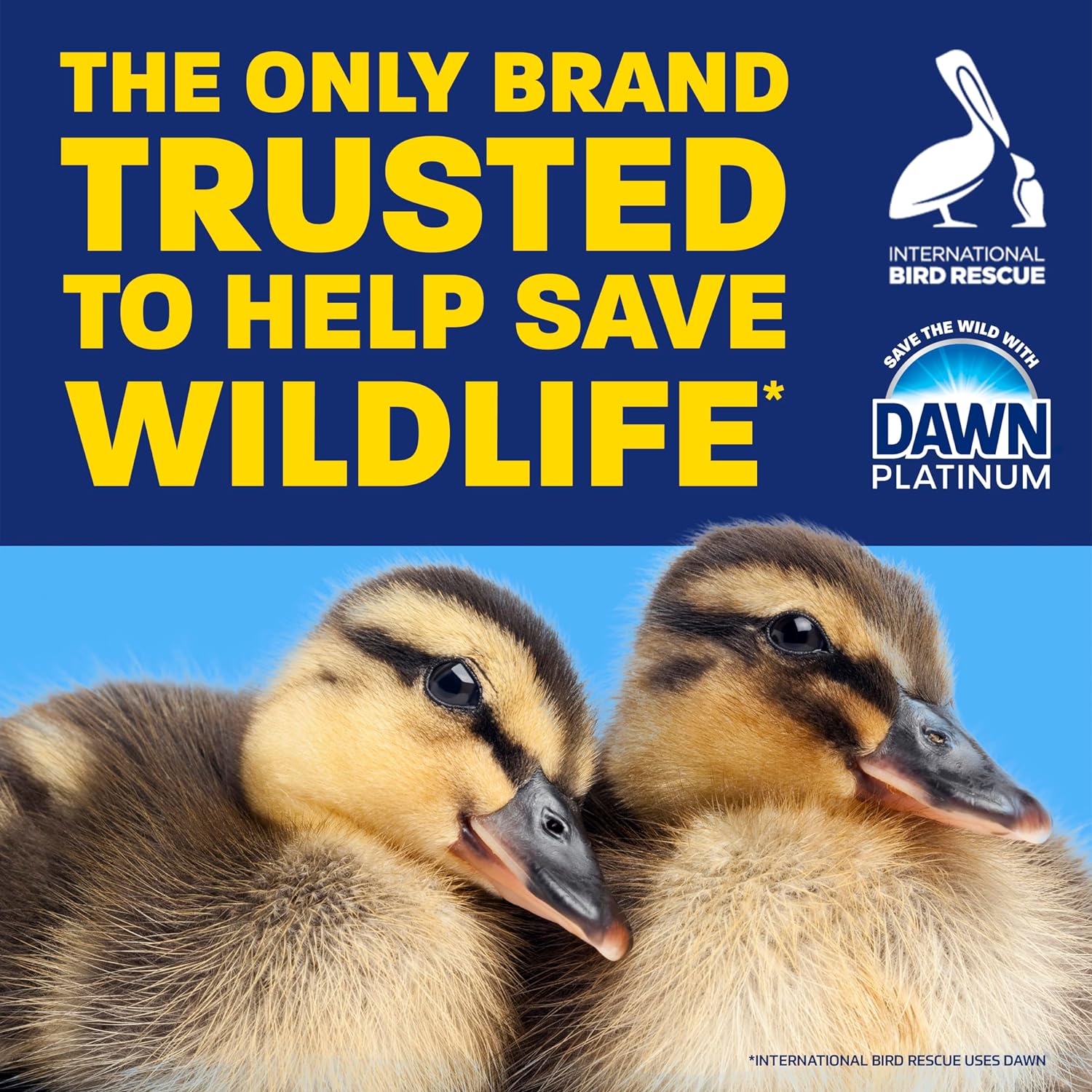 Dawn Dish Soap Squeeze Bottle, EZ-Squeeze Platinum Dish Soap Liquid+Non-Scratch Sponges for Dishes,Refreshing Rain,Includes 3x18oz Bottles+2 Sponges