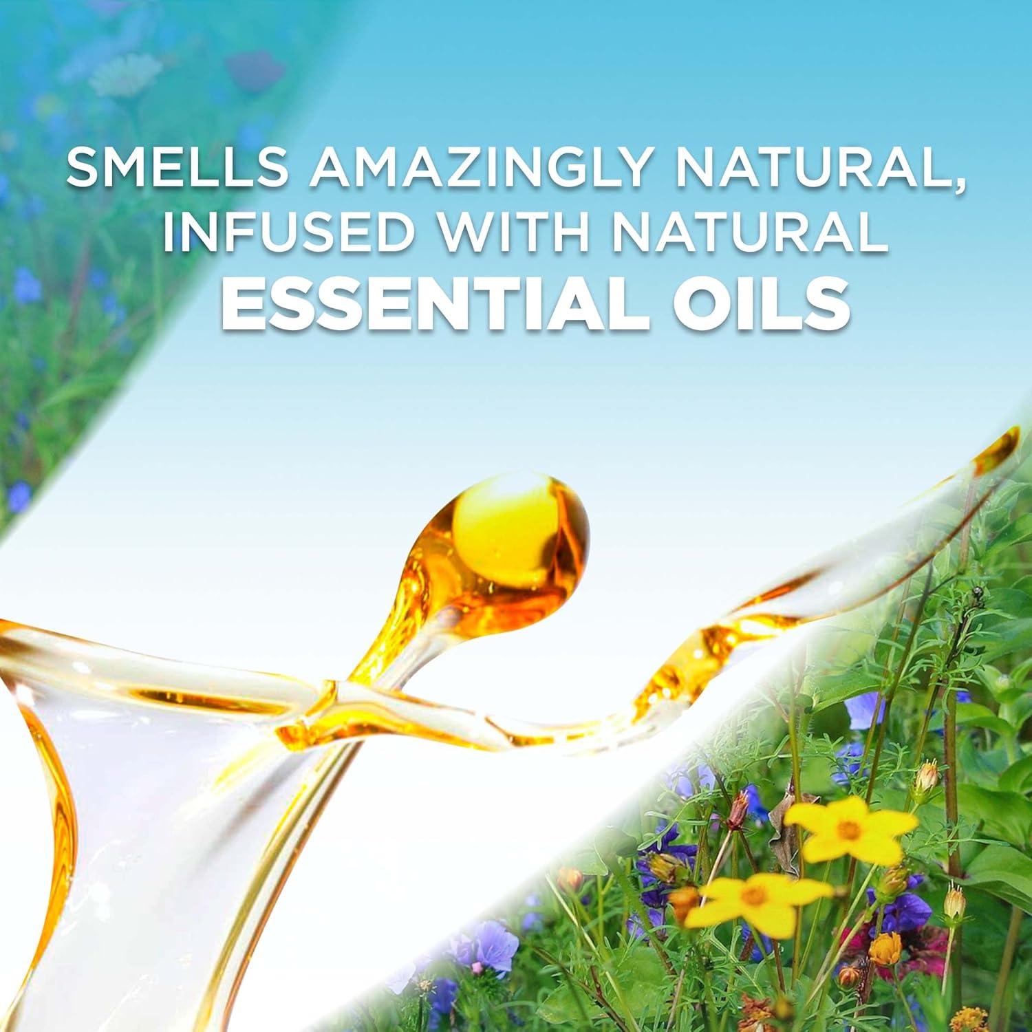 Air Wick Plug in Scented Oil Refill, 5 ct, Sandalwood , Air Freshener, Essential Oils