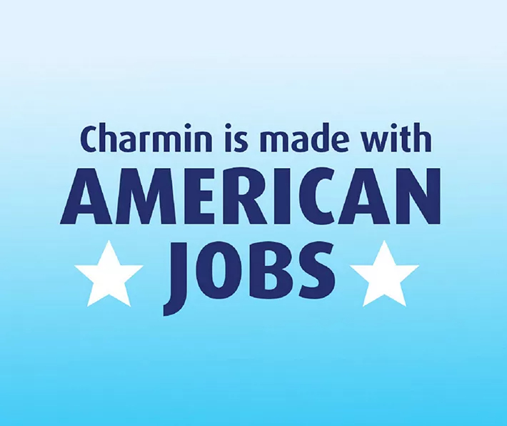 Ultra Strong Toilet Paper 12 Mega Rolls, 242 Sheets Per Roll