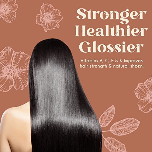 Provence Multi-Use Face, Body & Hair Oil - Hydrates Skin, Restores Shine - With Apricot, Coconut Oil & Vitamin E - 4 Fl Oz