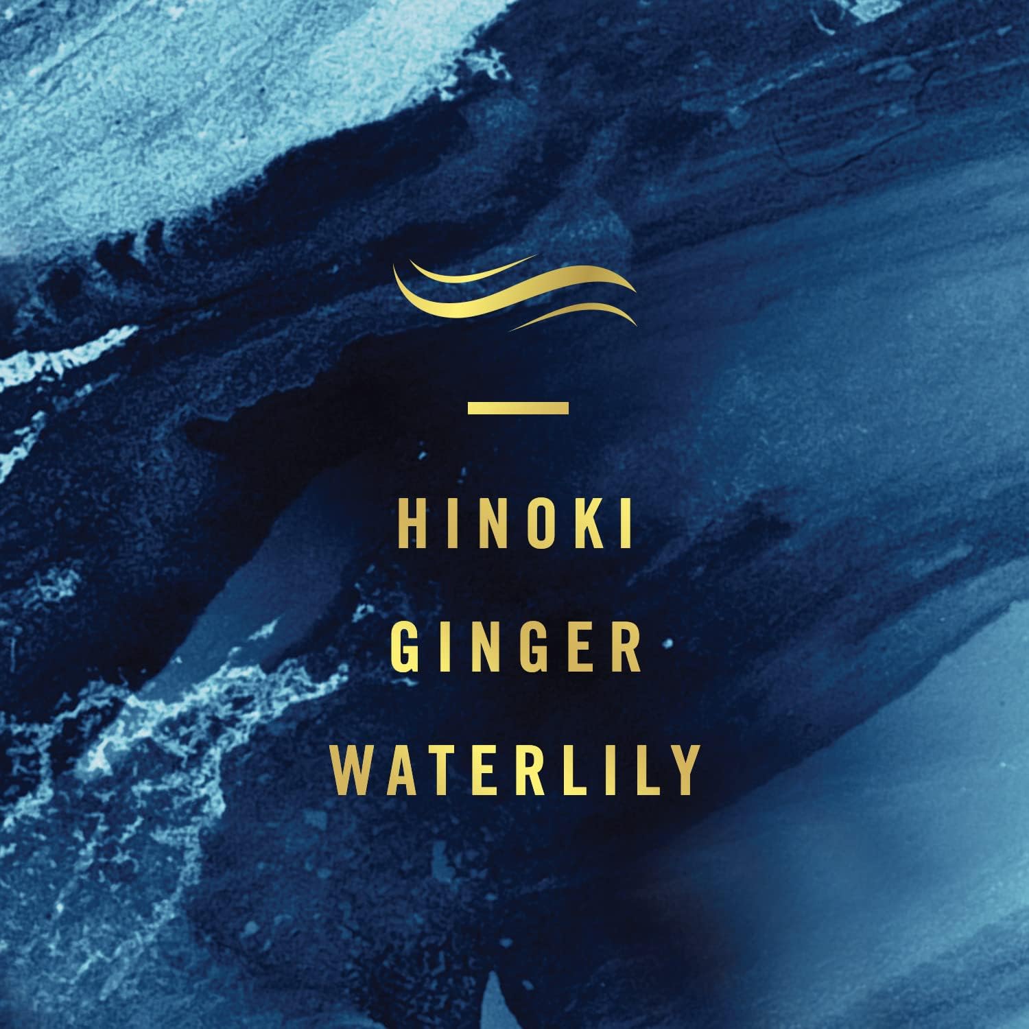 Febreze Touch Fabric Spray, Sneaker Balls Alternative, Couch Cleaner, Refresher Ocean & Mountain, 16.9 oz, Pack of 2,33.8 Fl Oz