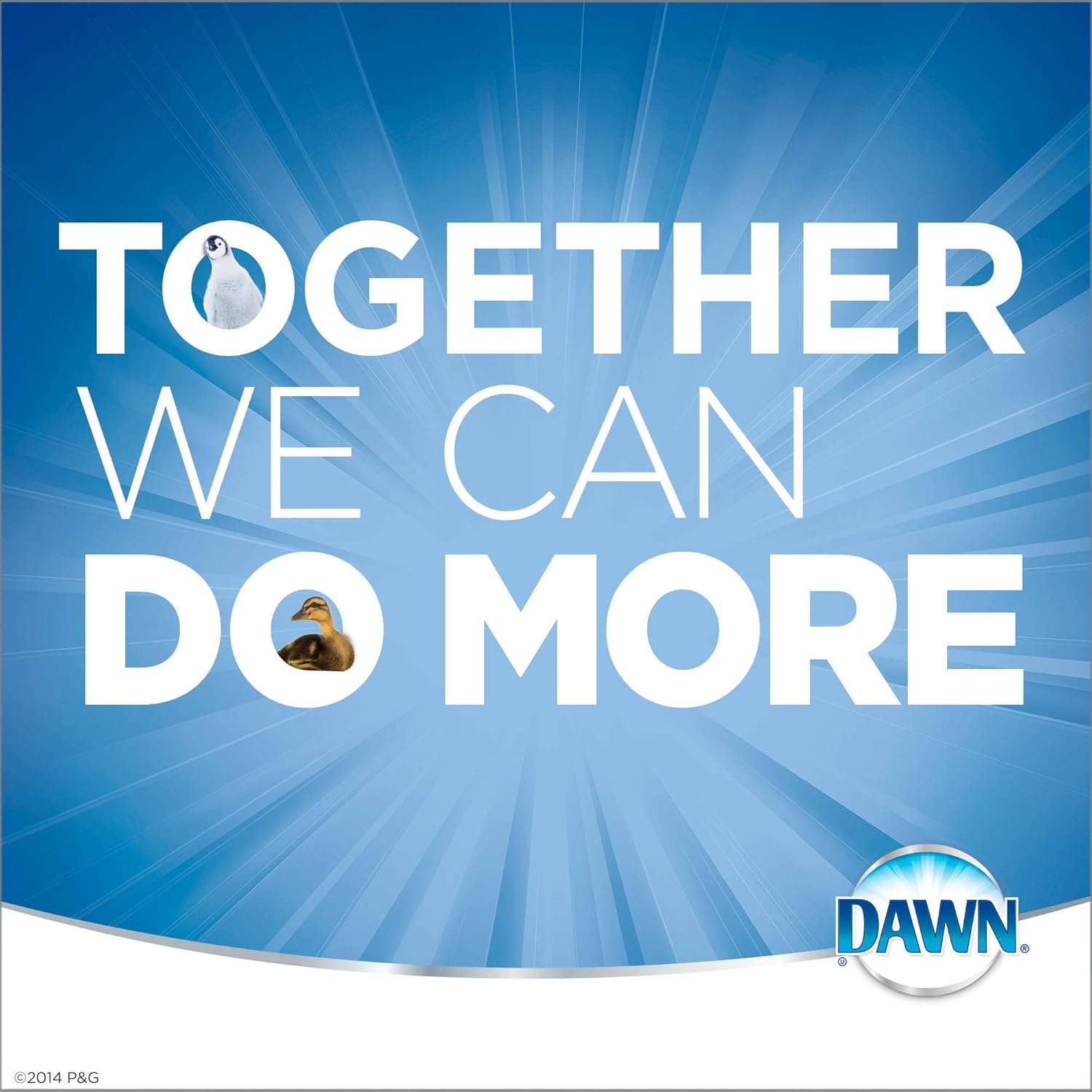 Dawn Dish Soap Squeeze Bottle, EZ-Squeeze Platinum Dish Soap Liquid+Non-Scratch Sponges for Dishes,Refreshing Rain,Includes 3x18oz Bottles+2 Sponges