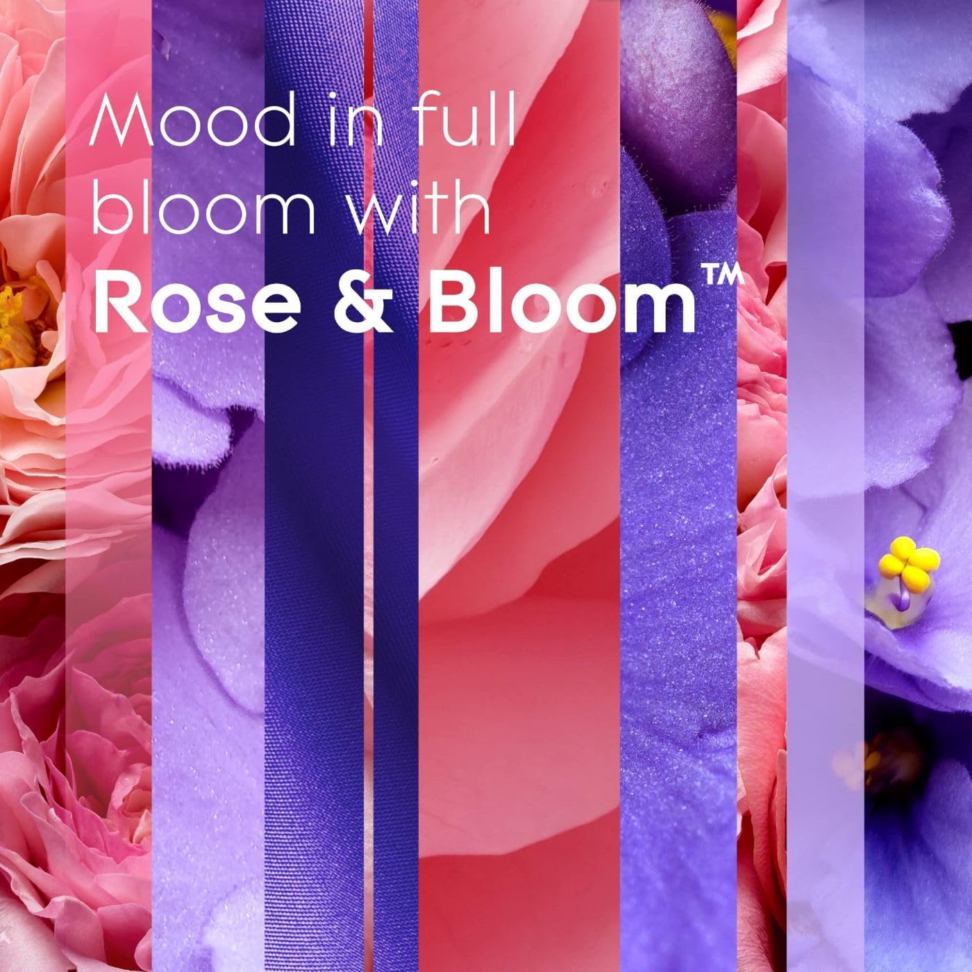 Glade PlugIns Air Freshener Starter Kit, Scented and Essential Oils for Home and Bathroom, Clean Linen, 4.02 Fl Oz, 2 Warmers and 6 Refills