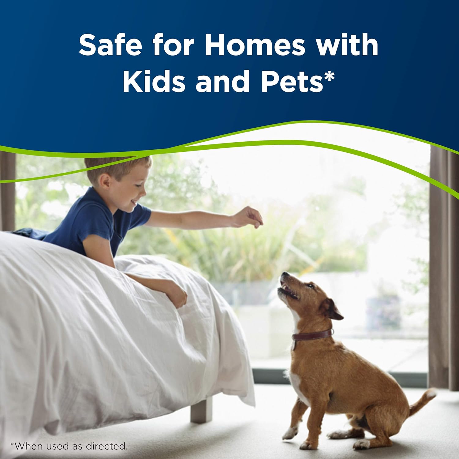 Bissell Professional Spot and Stain + Oxy Portable Machine Formula, 32 Fl Oz (Pack of 1)