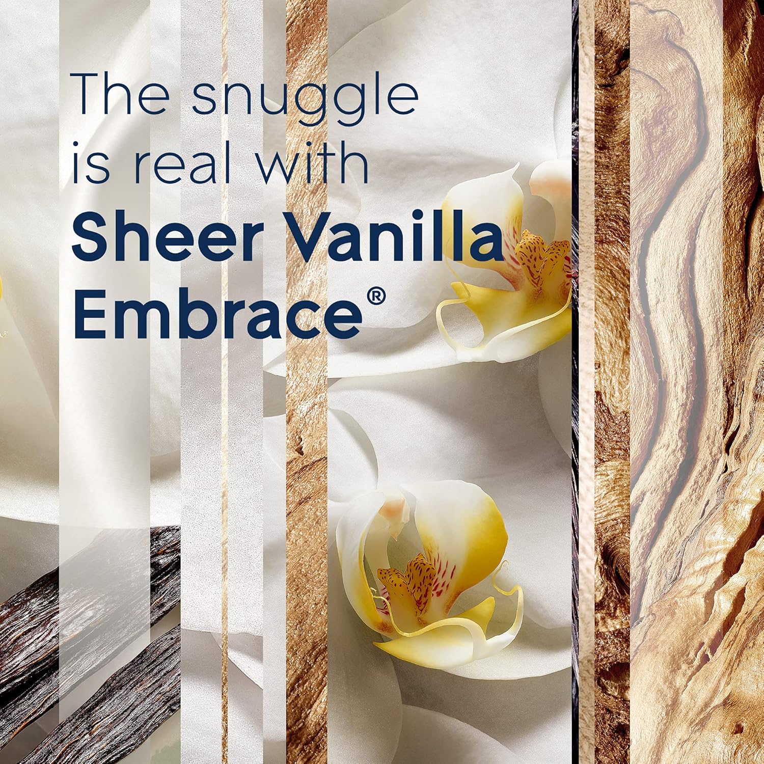 Glade PlugIns Refills Air Freshener, Scented and Essential Oils for Home and Bathroom, Apple Cinnamon, 3.35 Fl Oz, 5 Count