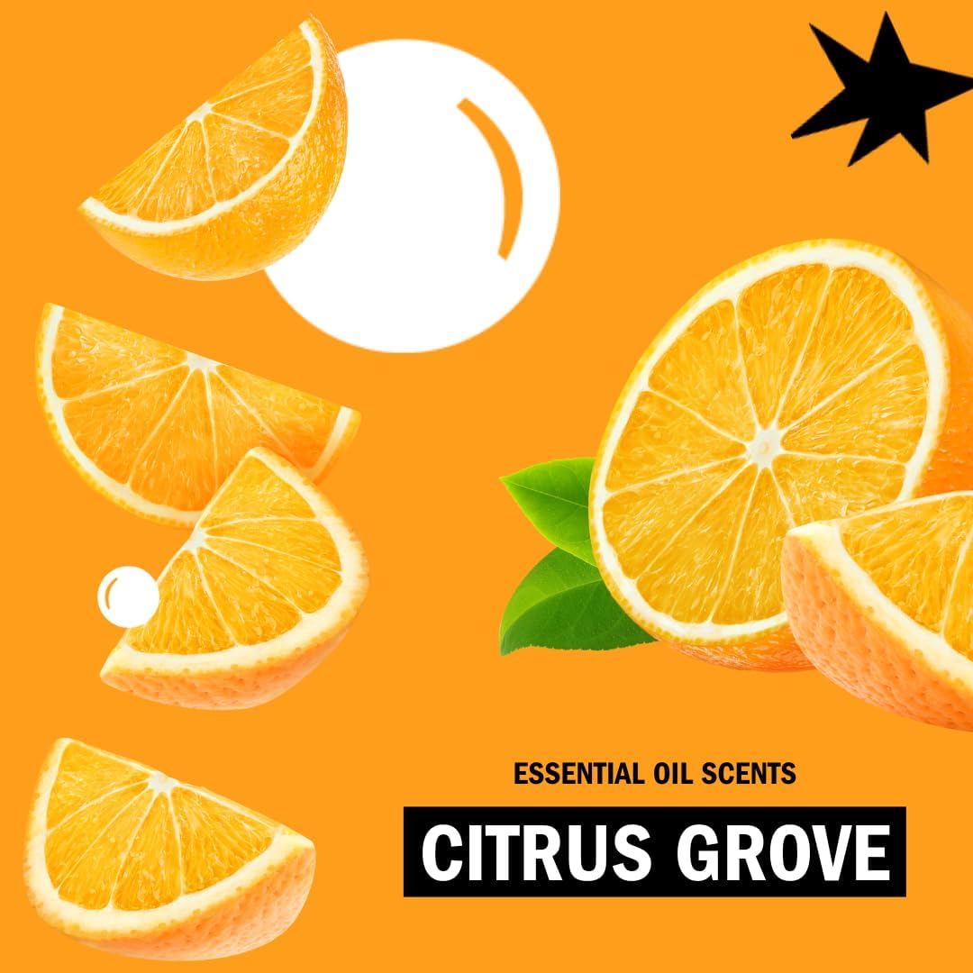 Molly's Suds Original Laundry Detergent Powder | Natural Laundry Detergent Powder for Sensitive Skin | Earth-Derived Ingredients, Stain Fighting | 120 Loads (Unscented)