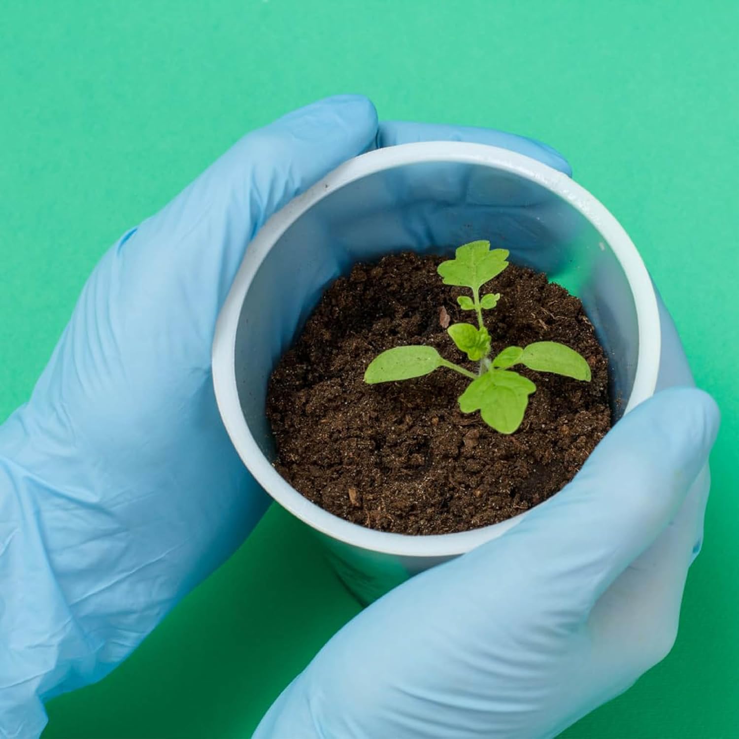 ForPro Professional Collection Disposable Nitrile Gloves, Chemical Resistant, Powder-Free, Latex-Free, Non-Sterile, Food Safe, 4 Mil, Black, Large, 100-Count