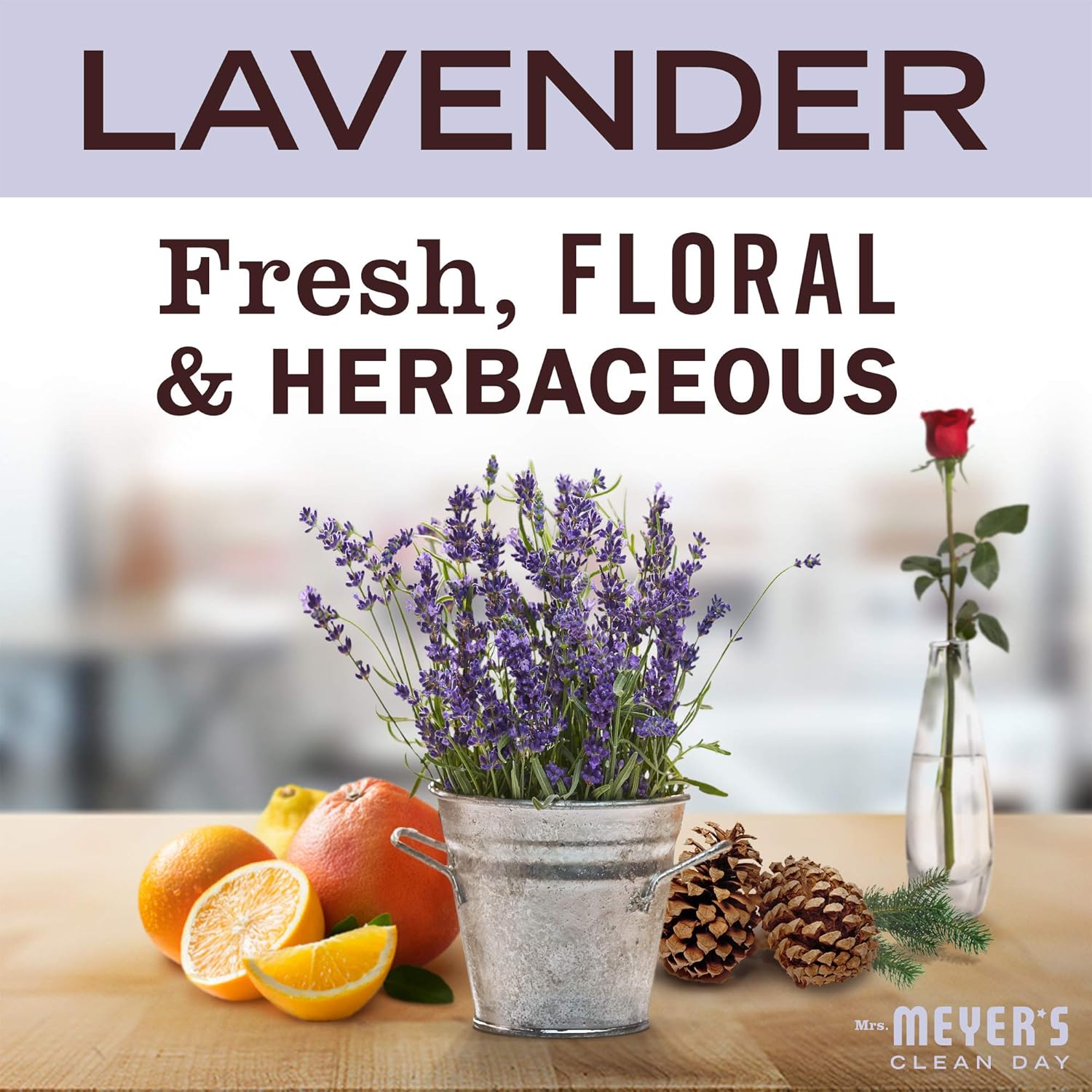 MRS. MEYER'S CLEAN DAY Hand Soap, Made with Essential Oils, Biodegradable Formula, Lavender, 12.5 fl. oz - Pack of 3